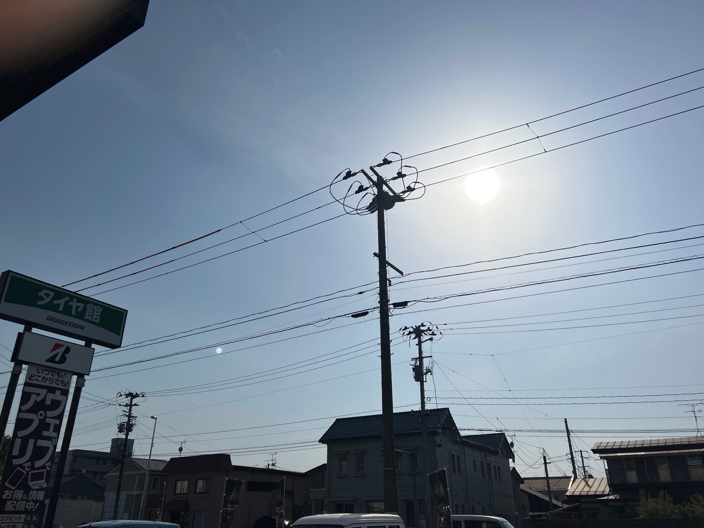 スタッフ撮影です