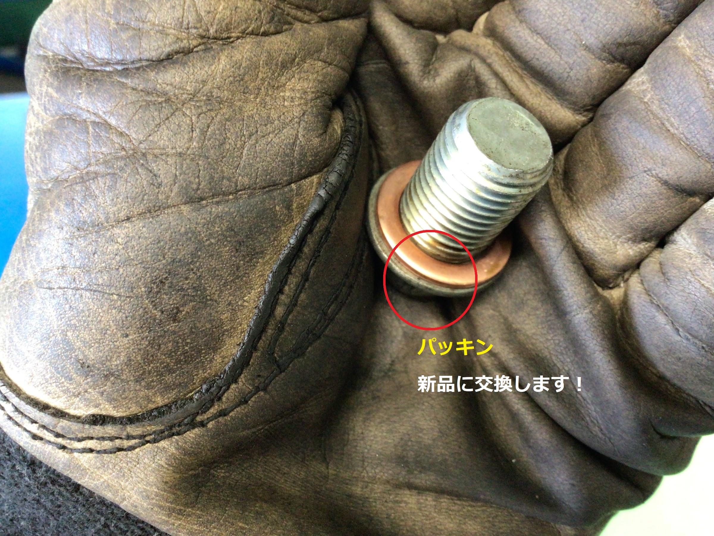 スタッフ撮影分