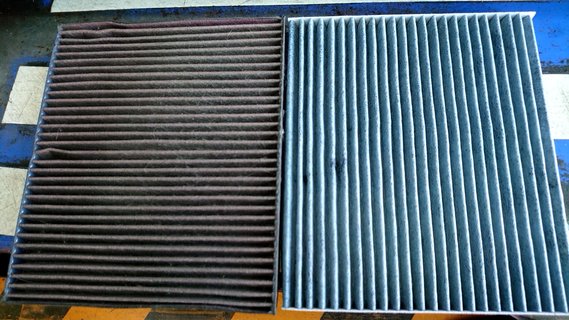 スタッフ撮影写真