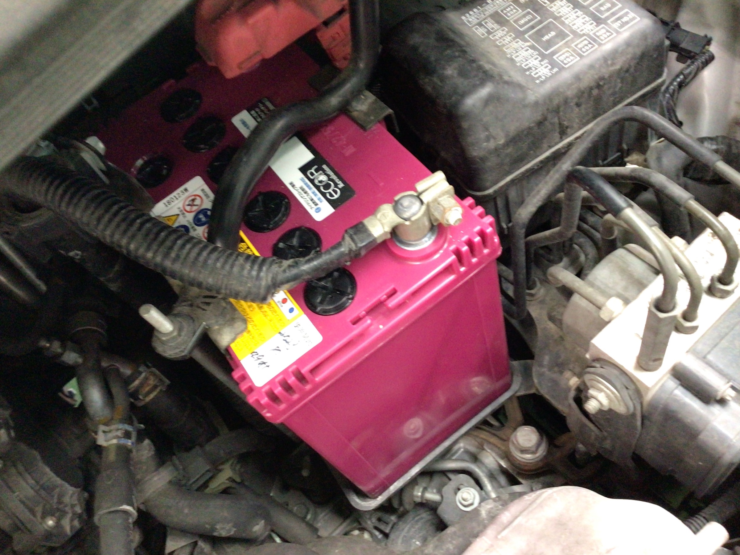 スタッフ撮影分