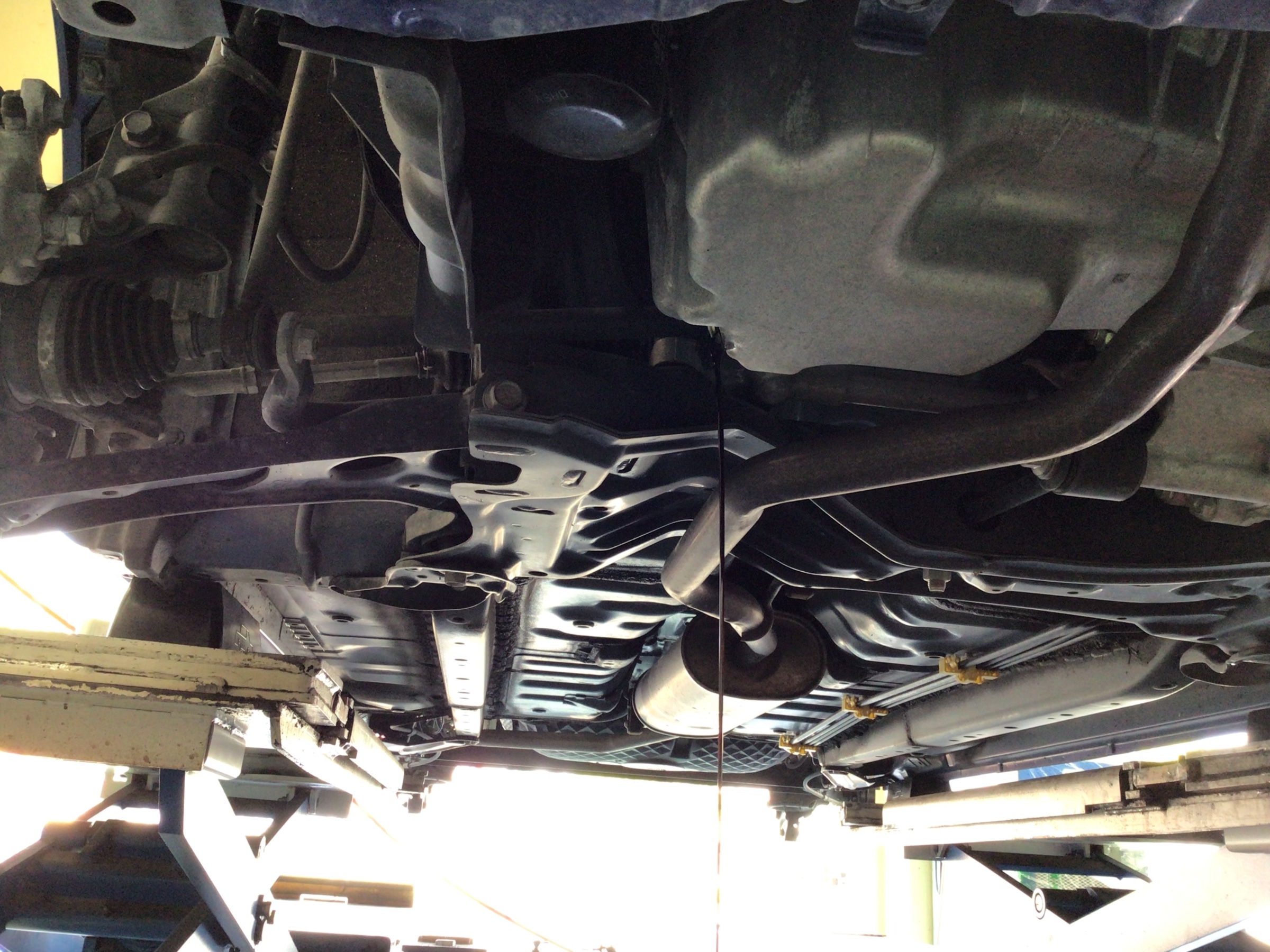 スタッフ撮影分