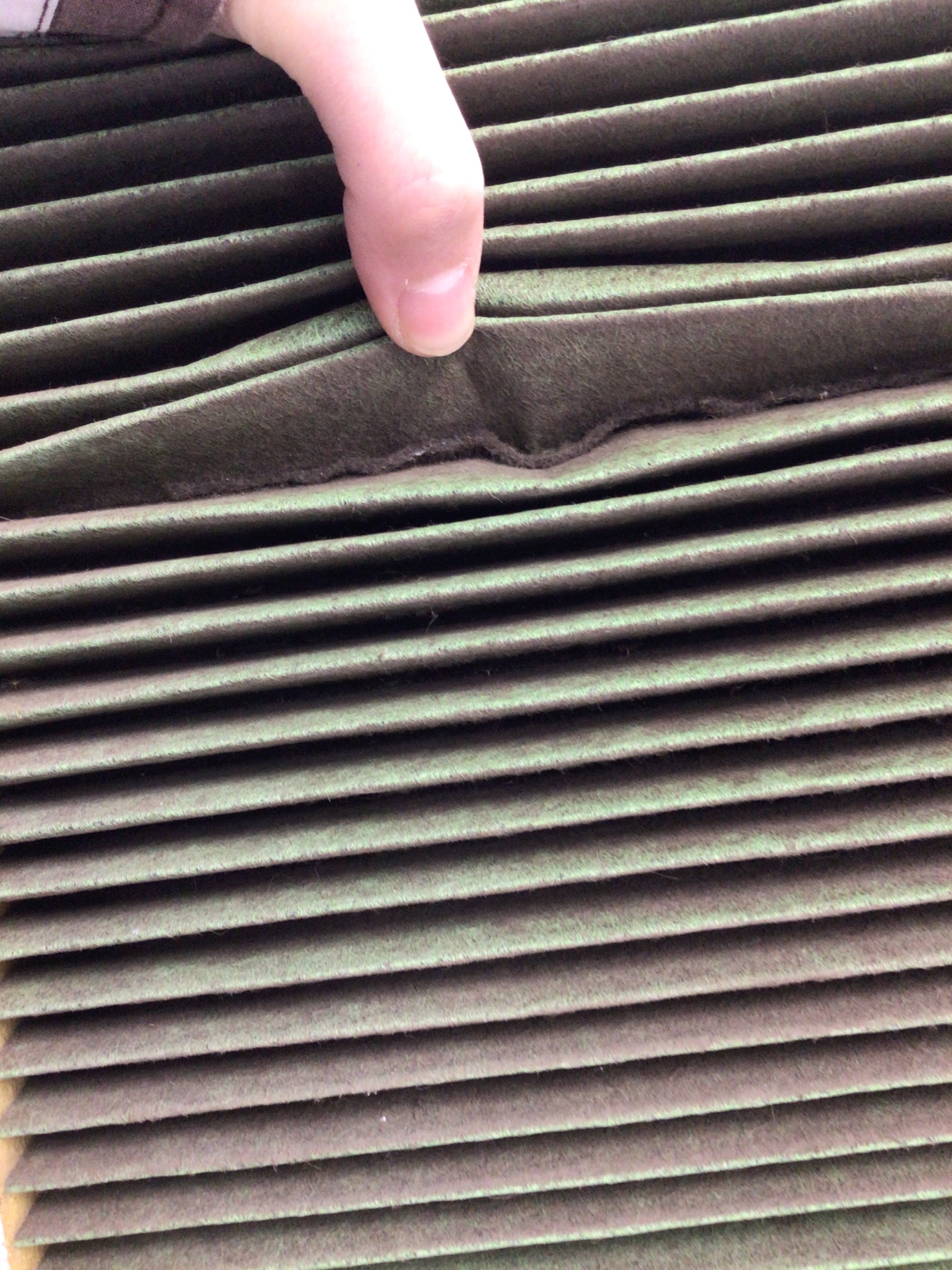 スタッフ撮影分