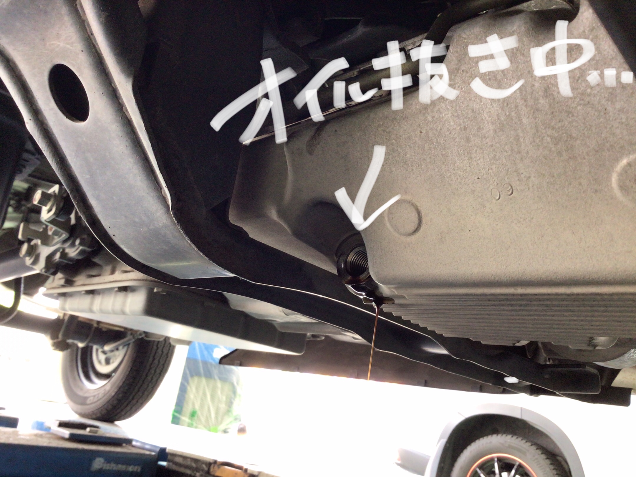 スタッフ撮影分