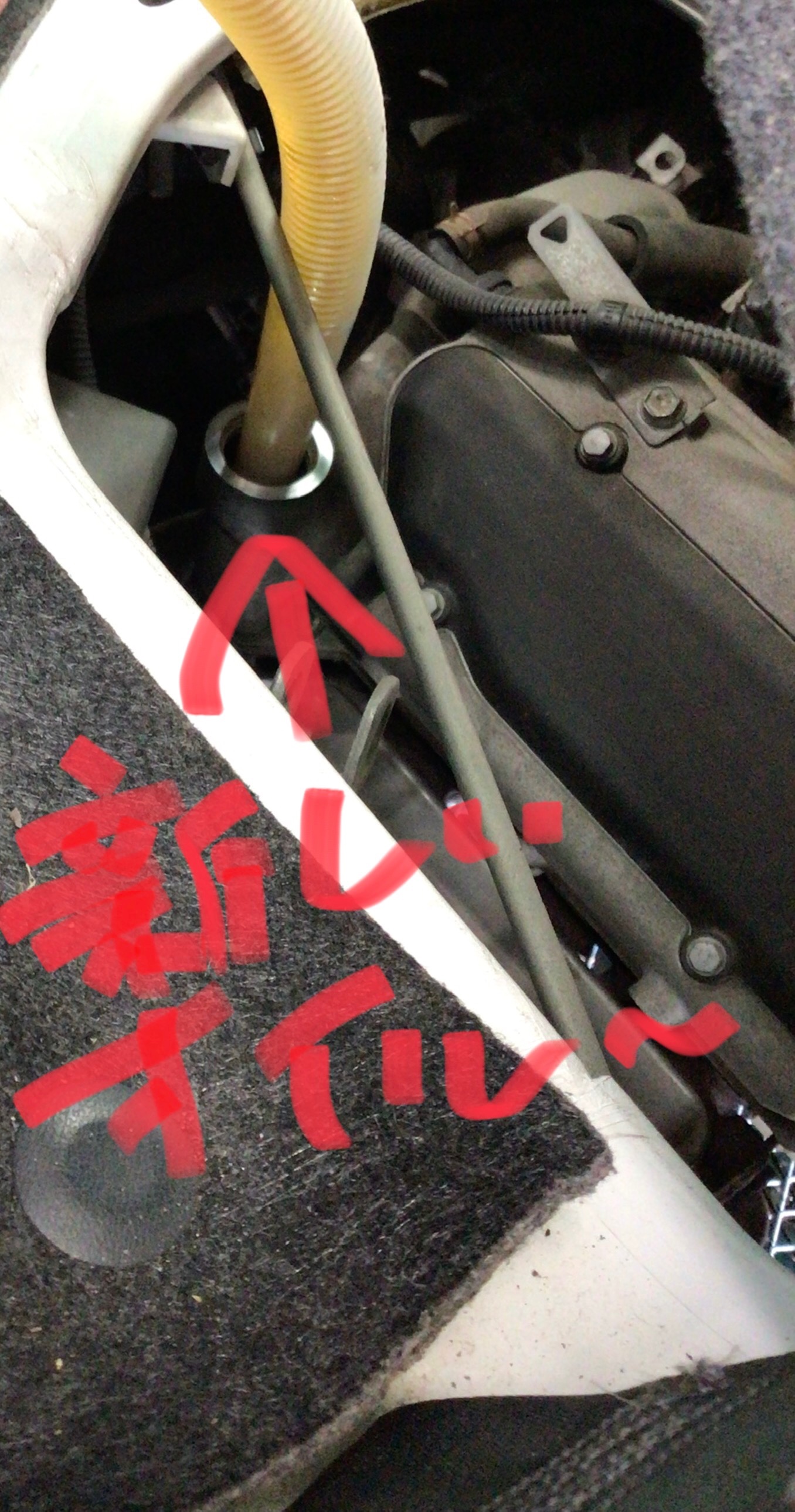 スタッフ撮影分