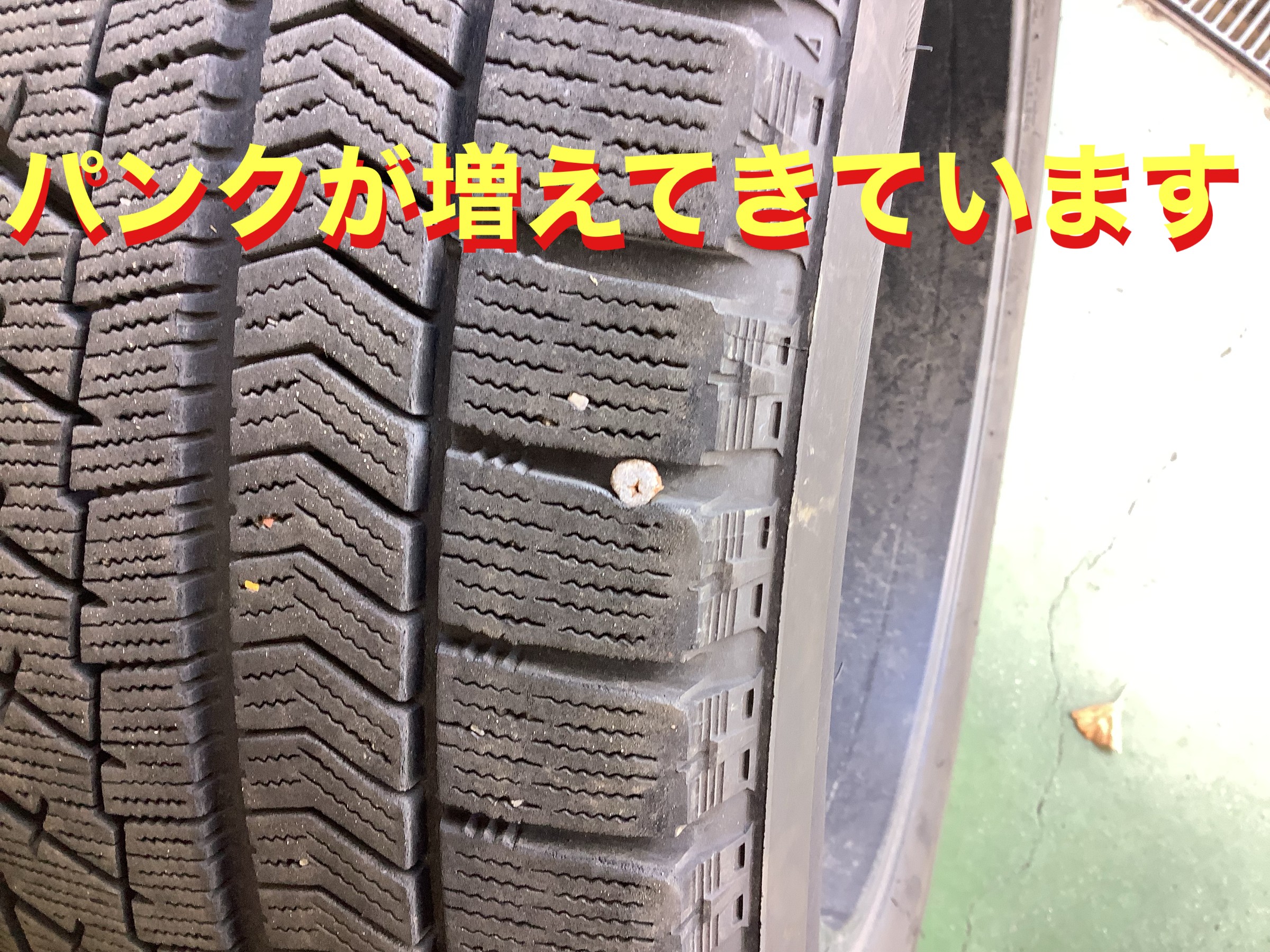 自店撮影です