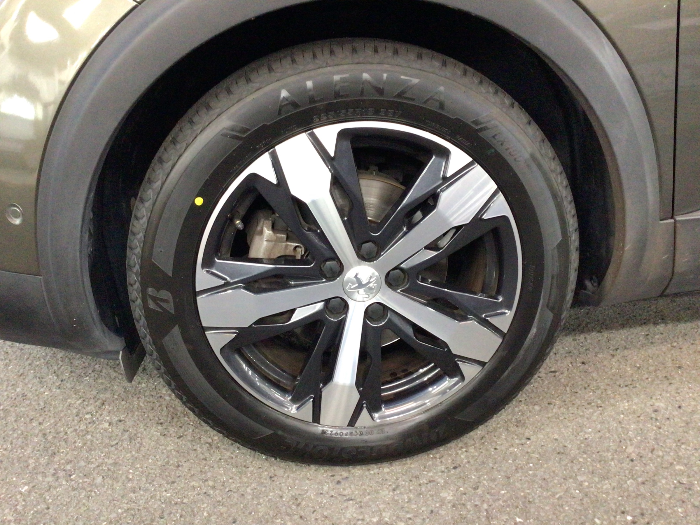 スタッフ撮影分