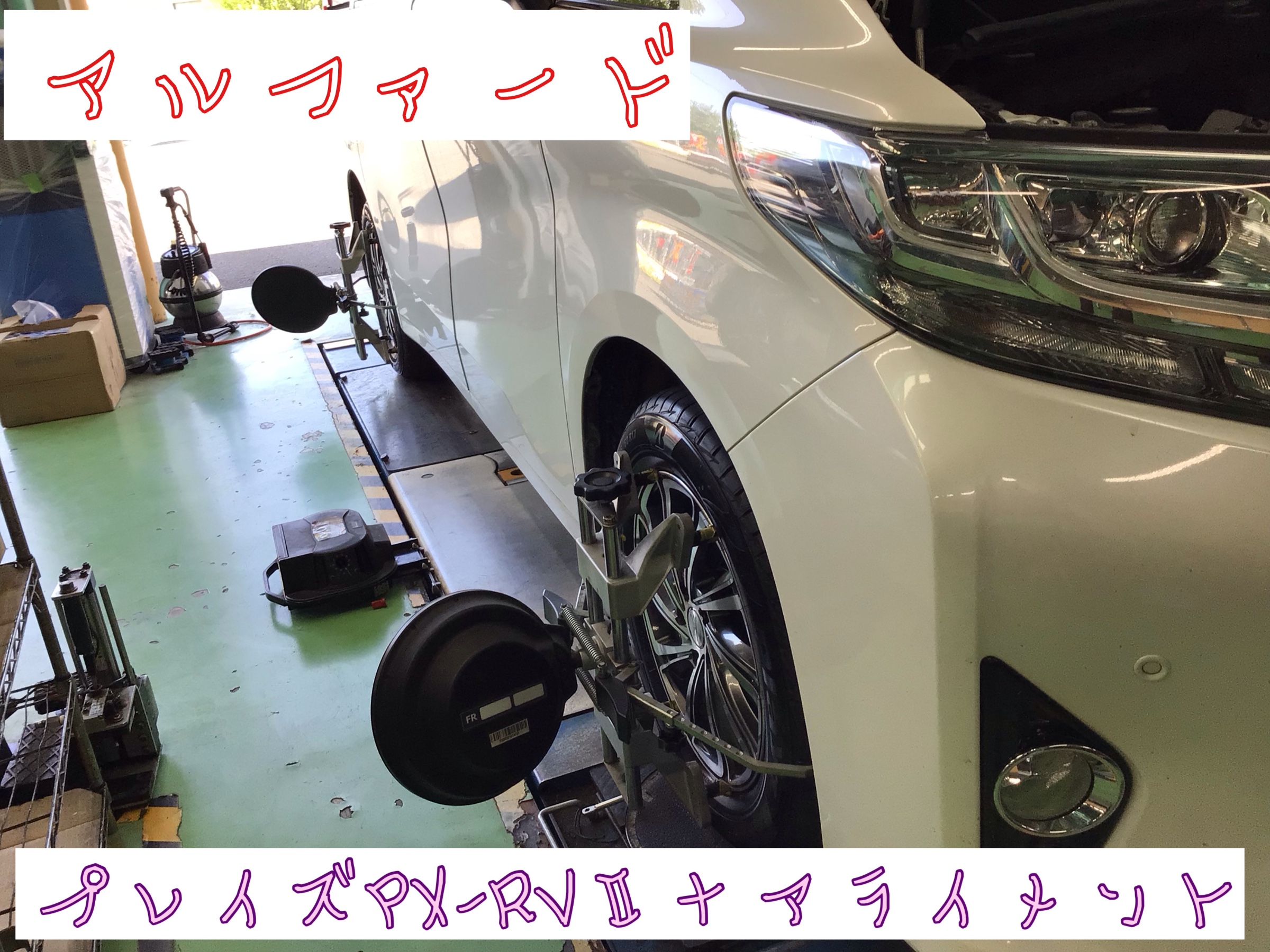 スタッフ撮影分