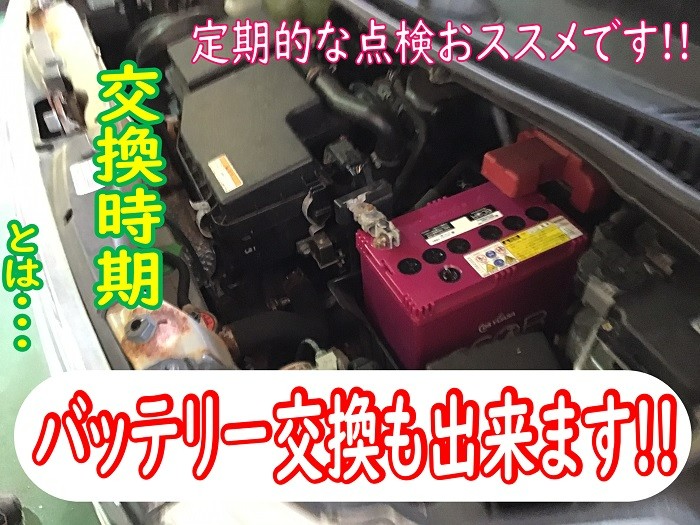 スタッフが撮影加工した画像