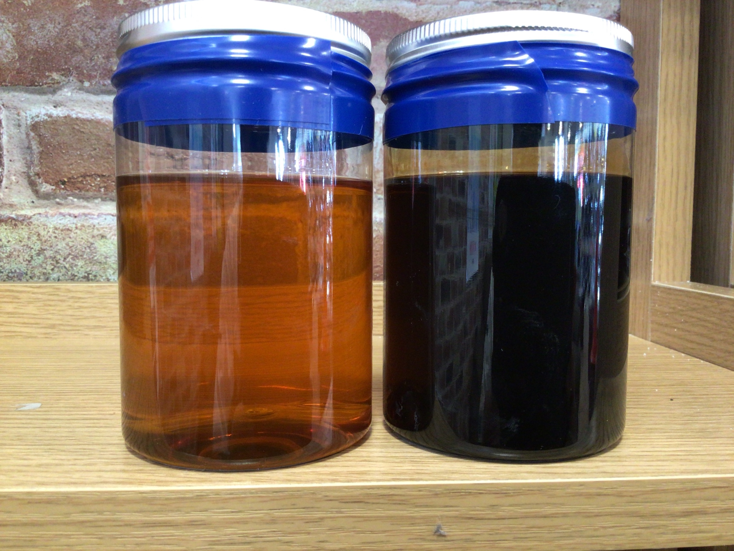 スタッフ撮影写真