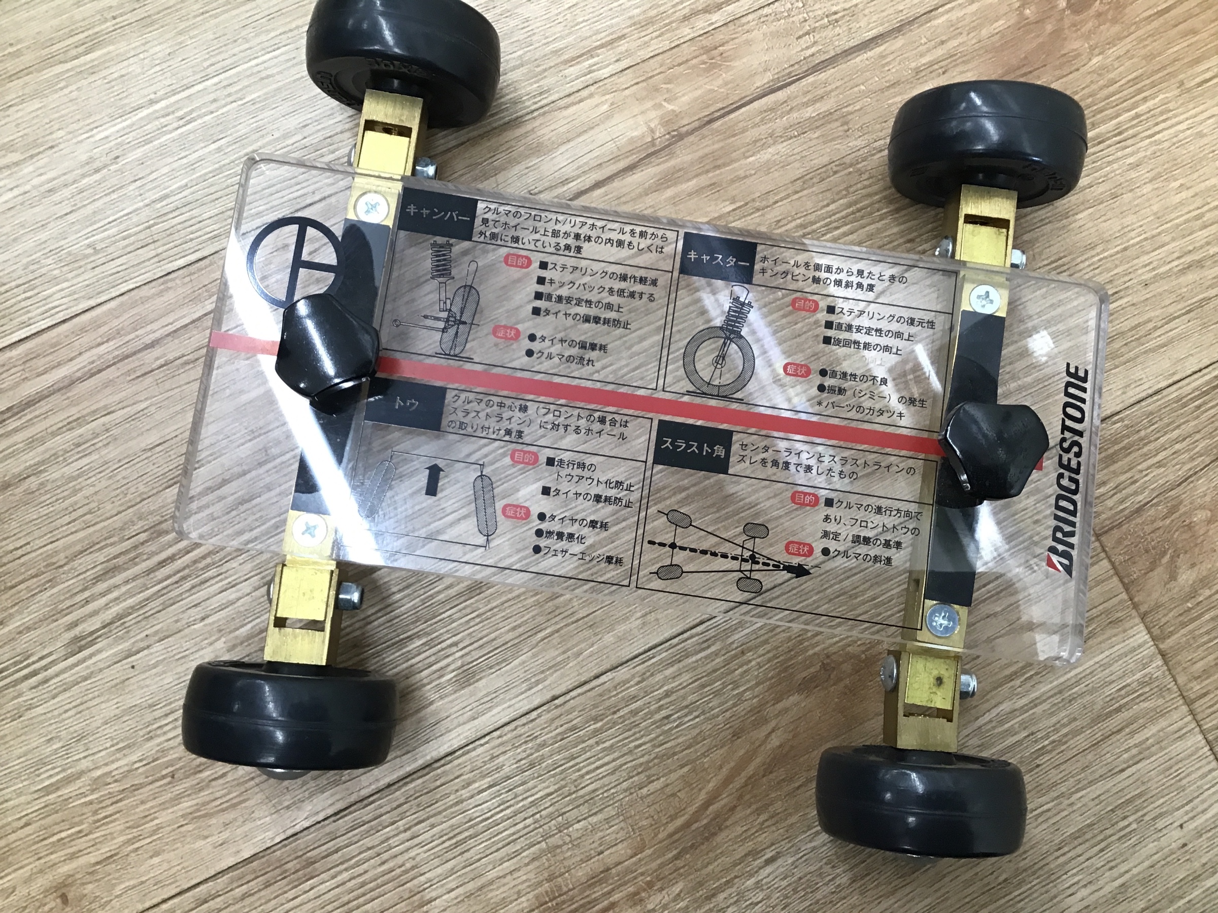 スタッフ撮影です