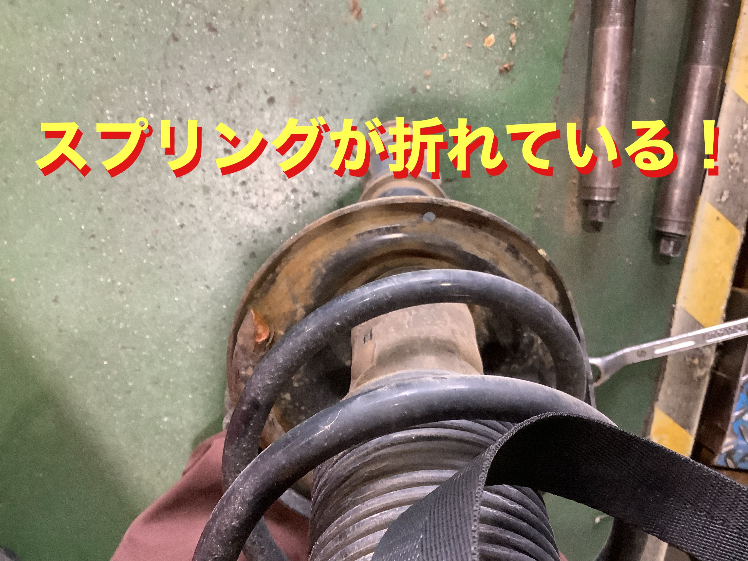 自店撮影です