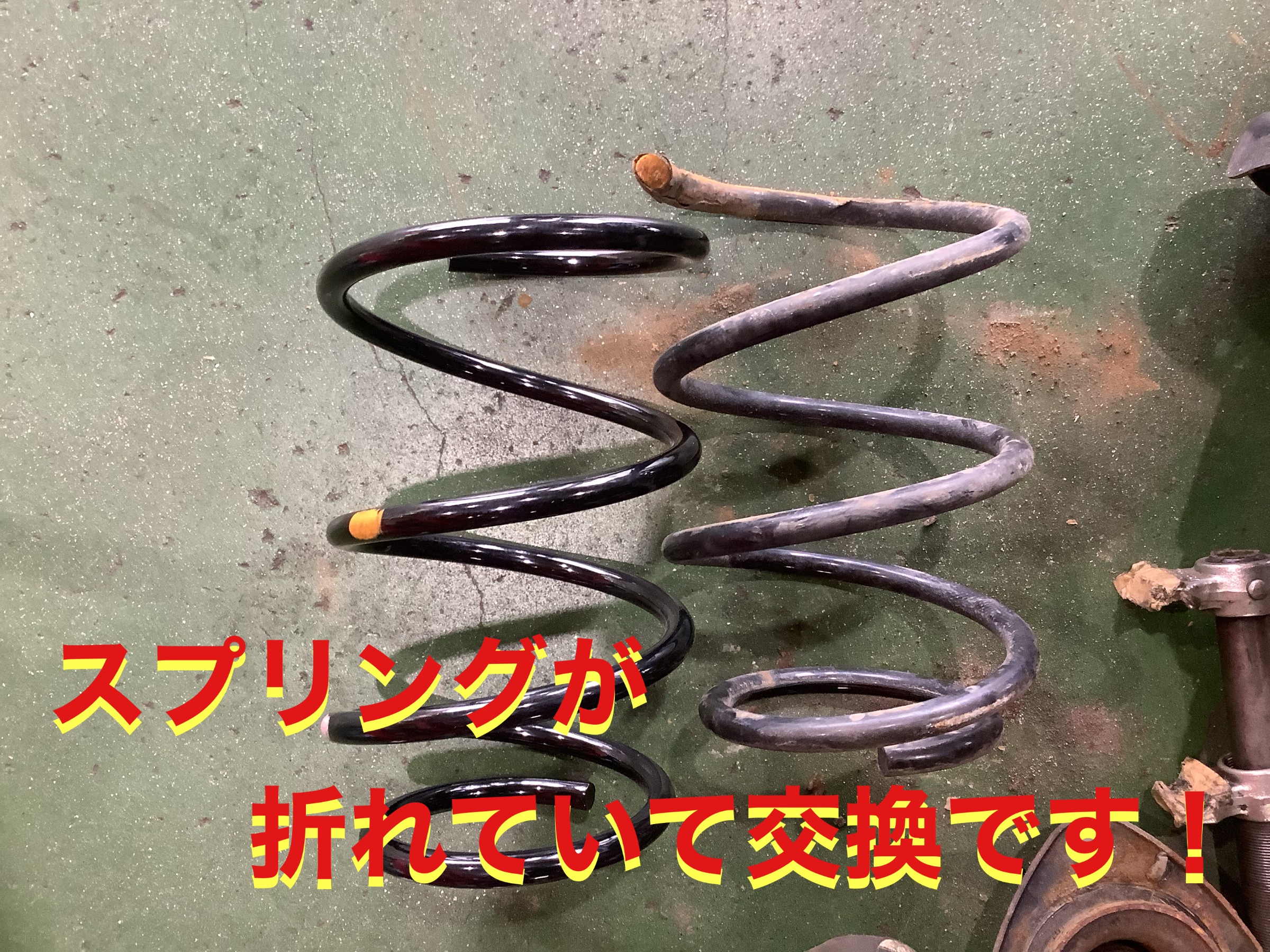 自店撮影です