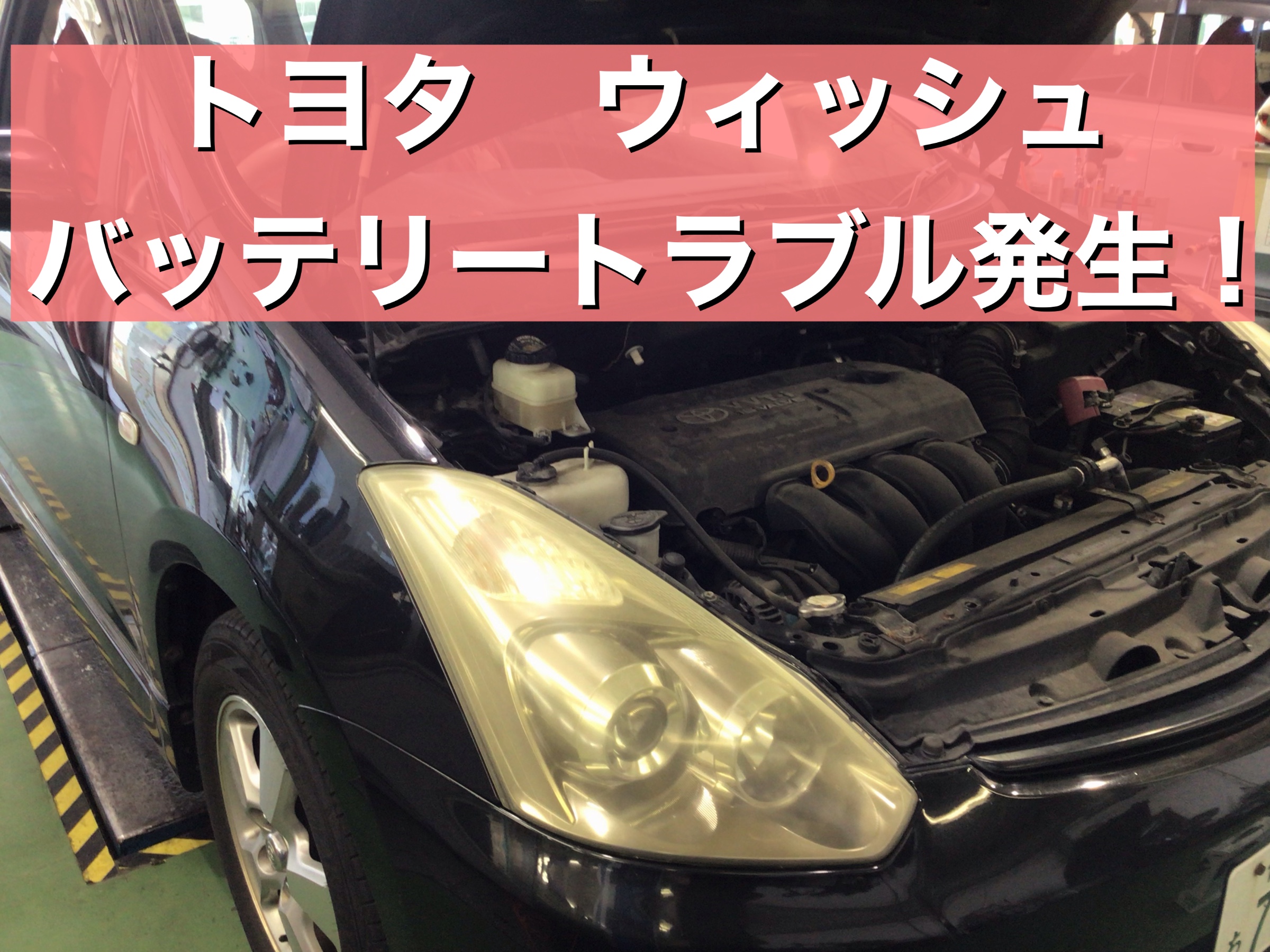 スタッフ