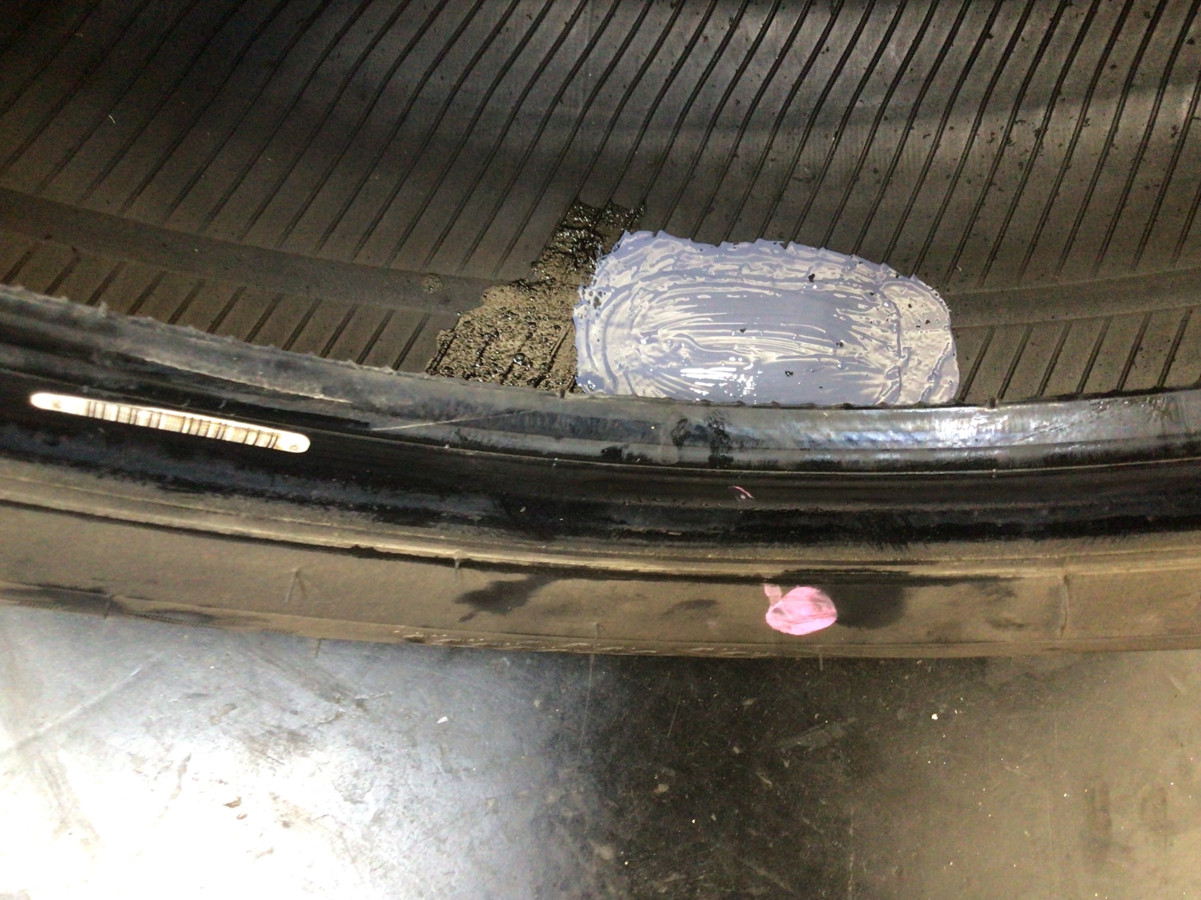 スタッフ撮影写真