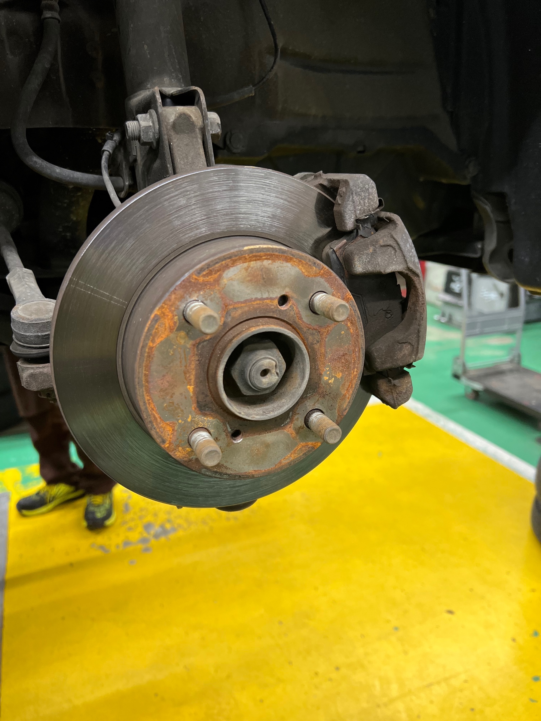 スタッフ撮影です