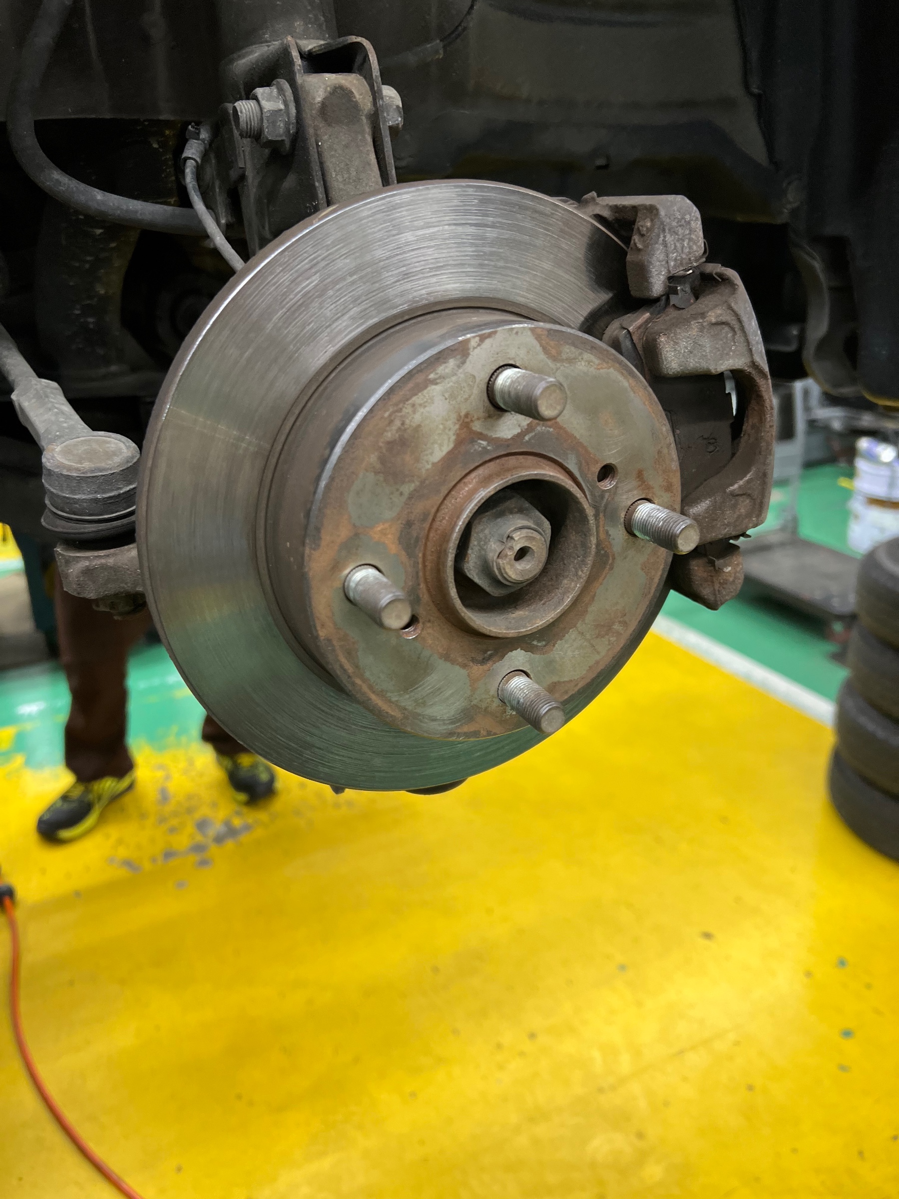 スタッフ撮影です