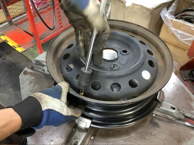 スタッフが撮影した画像です