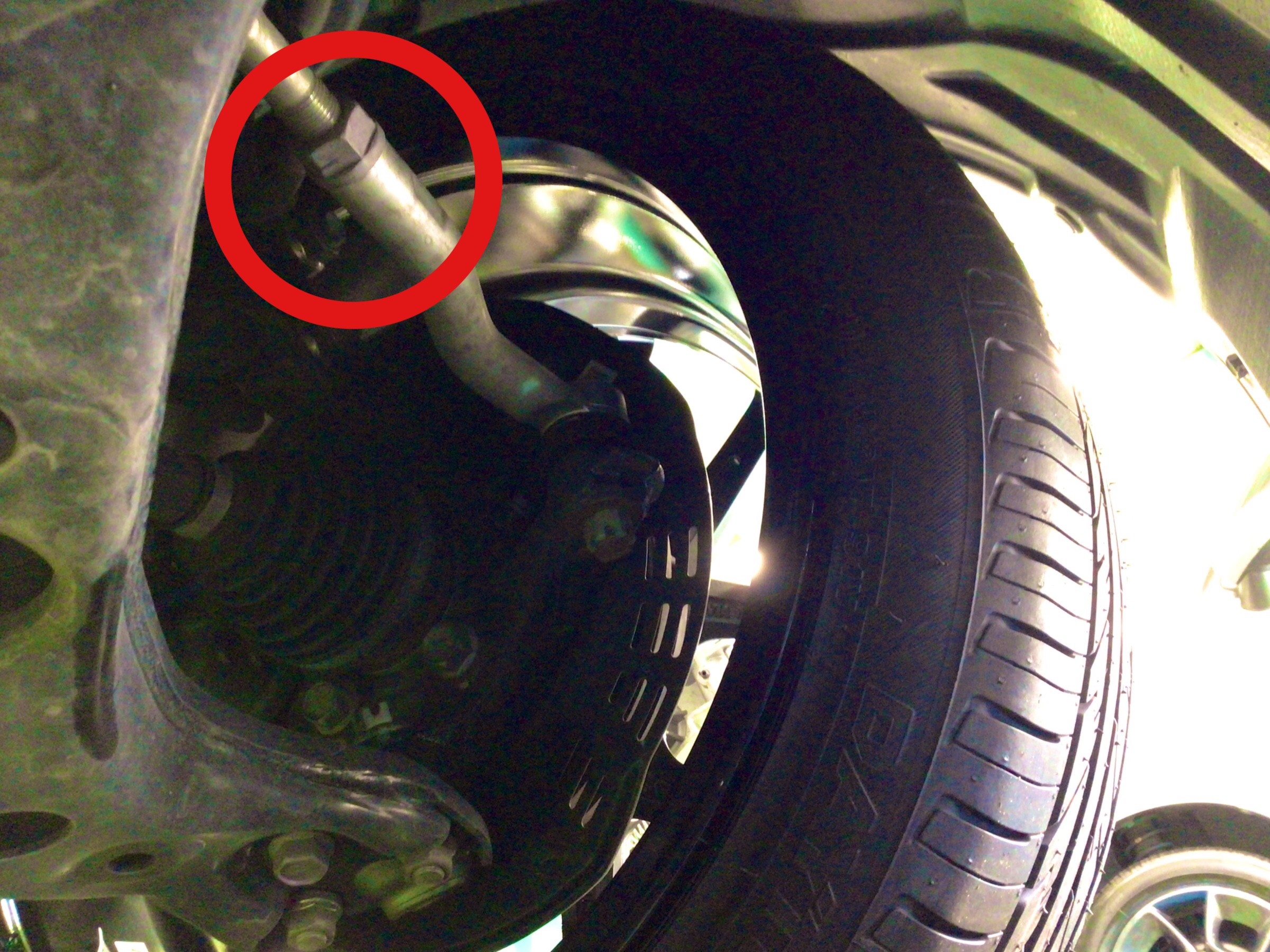 スタッフ撮影分