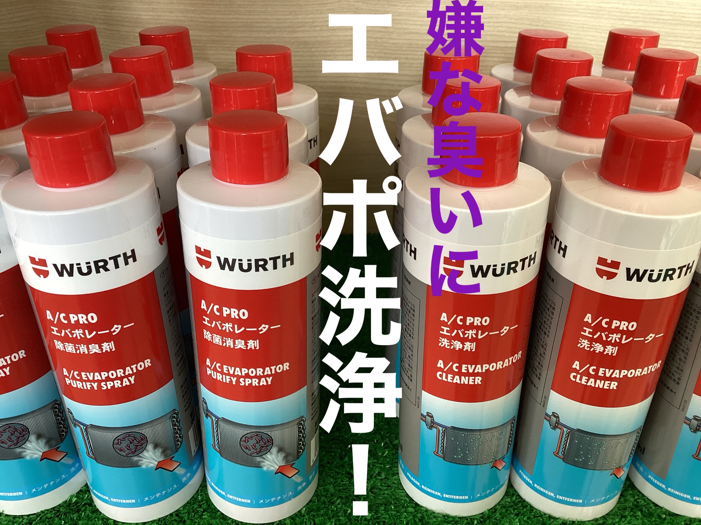 店頭にて撮影加工