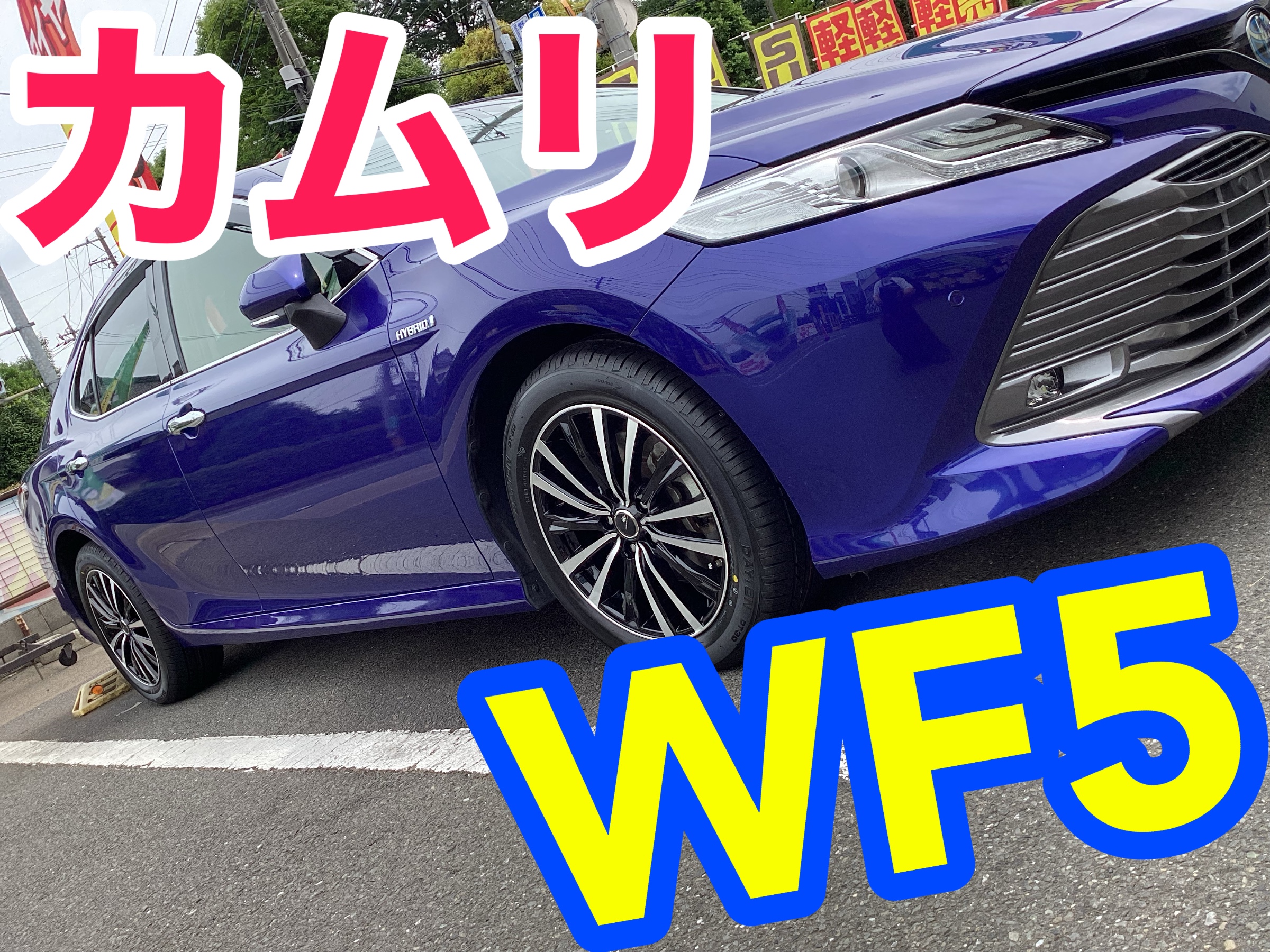 スタッフ撮影画像