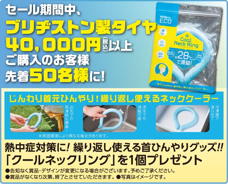 作成チラシより。公取確認済です。