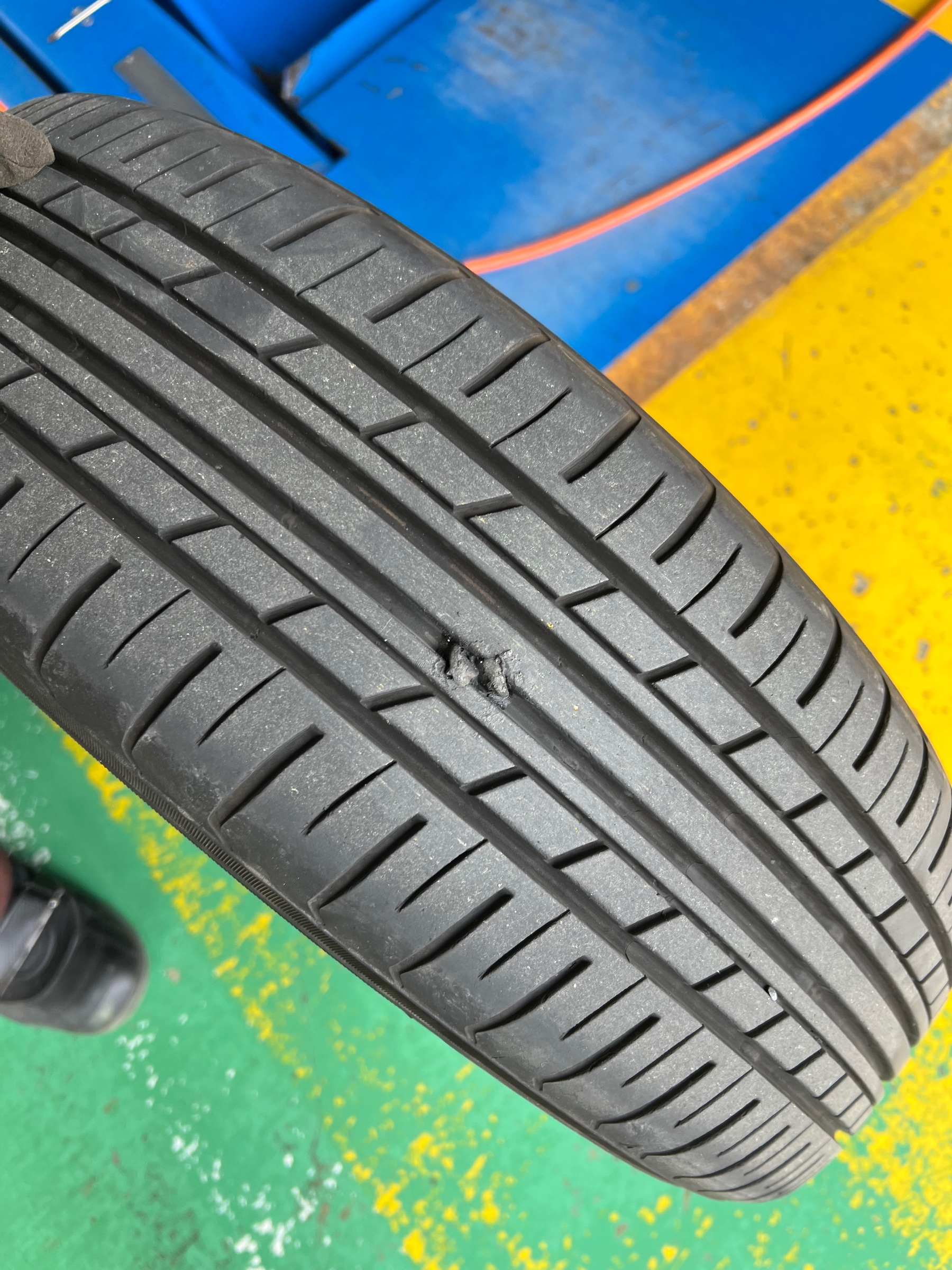 スタッフ撮影です