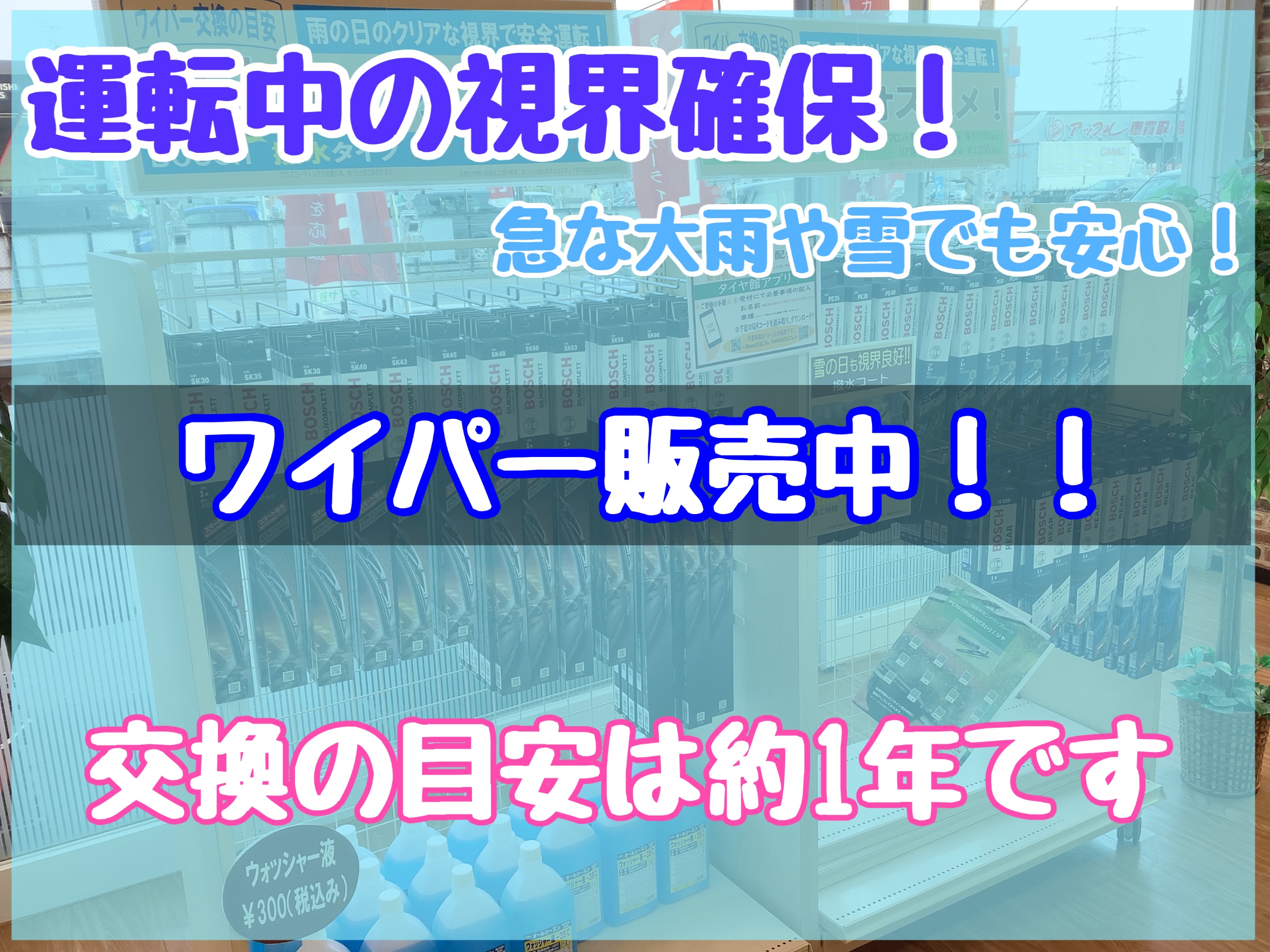スタッフが撮影加工した画像