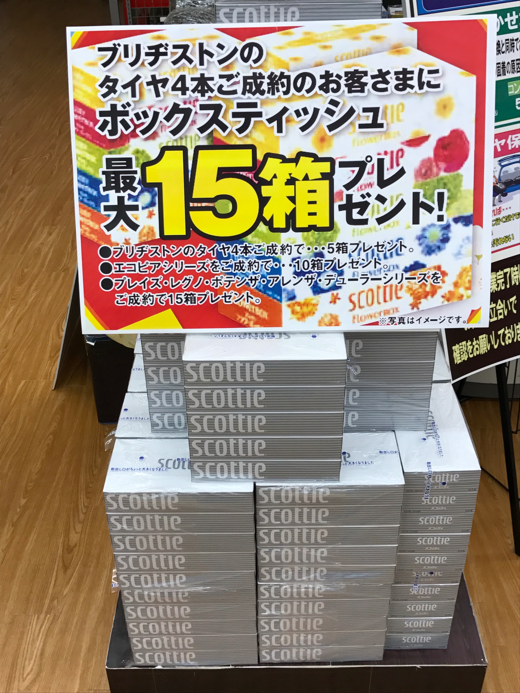 スタッフが撮った写真です。