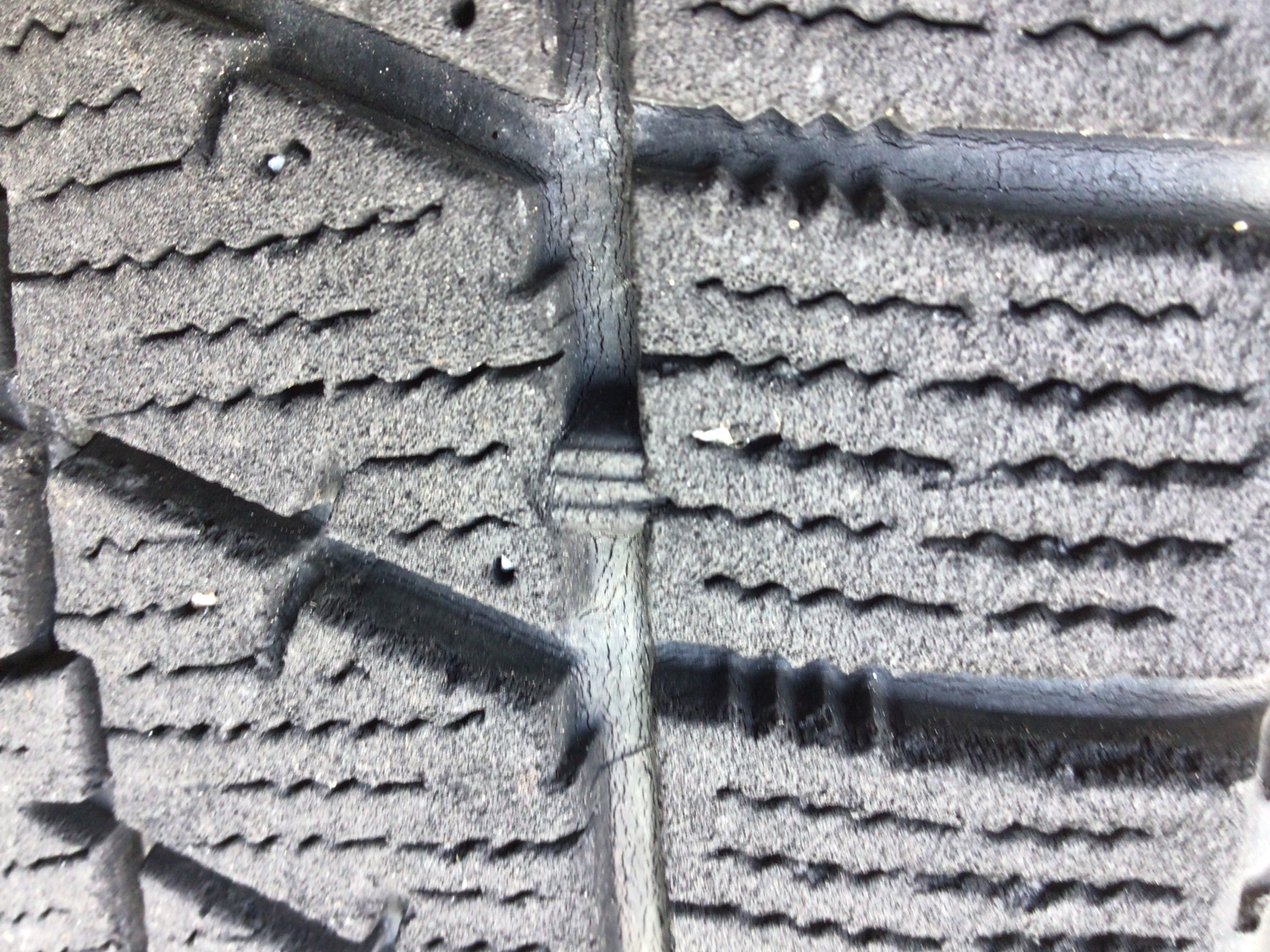 スタッフ撮影写真