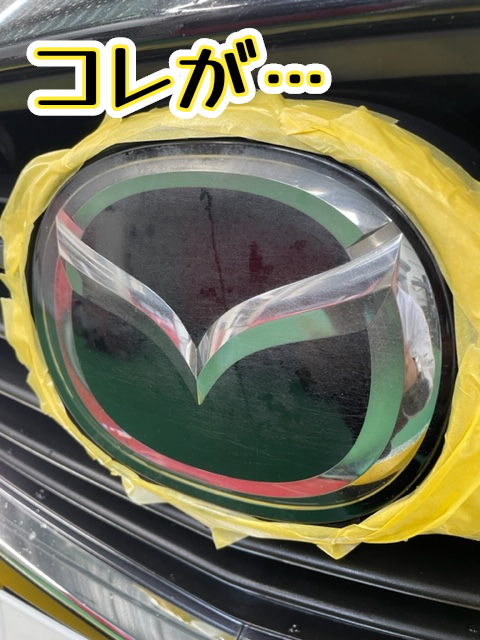 スタッフ撮影&編集です