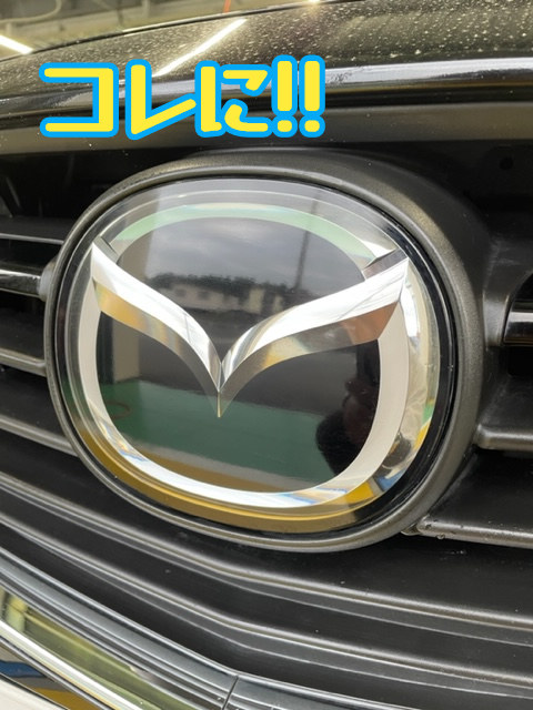 スタッフ撮影&編集です