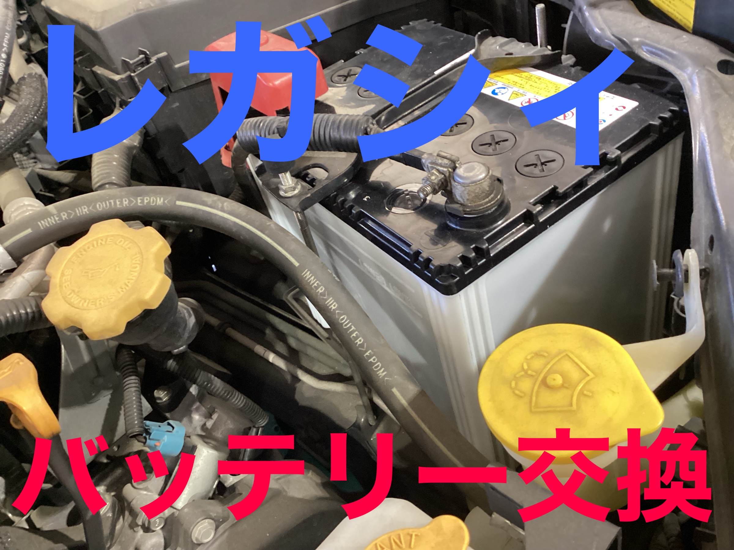 スタッフ撮影画像