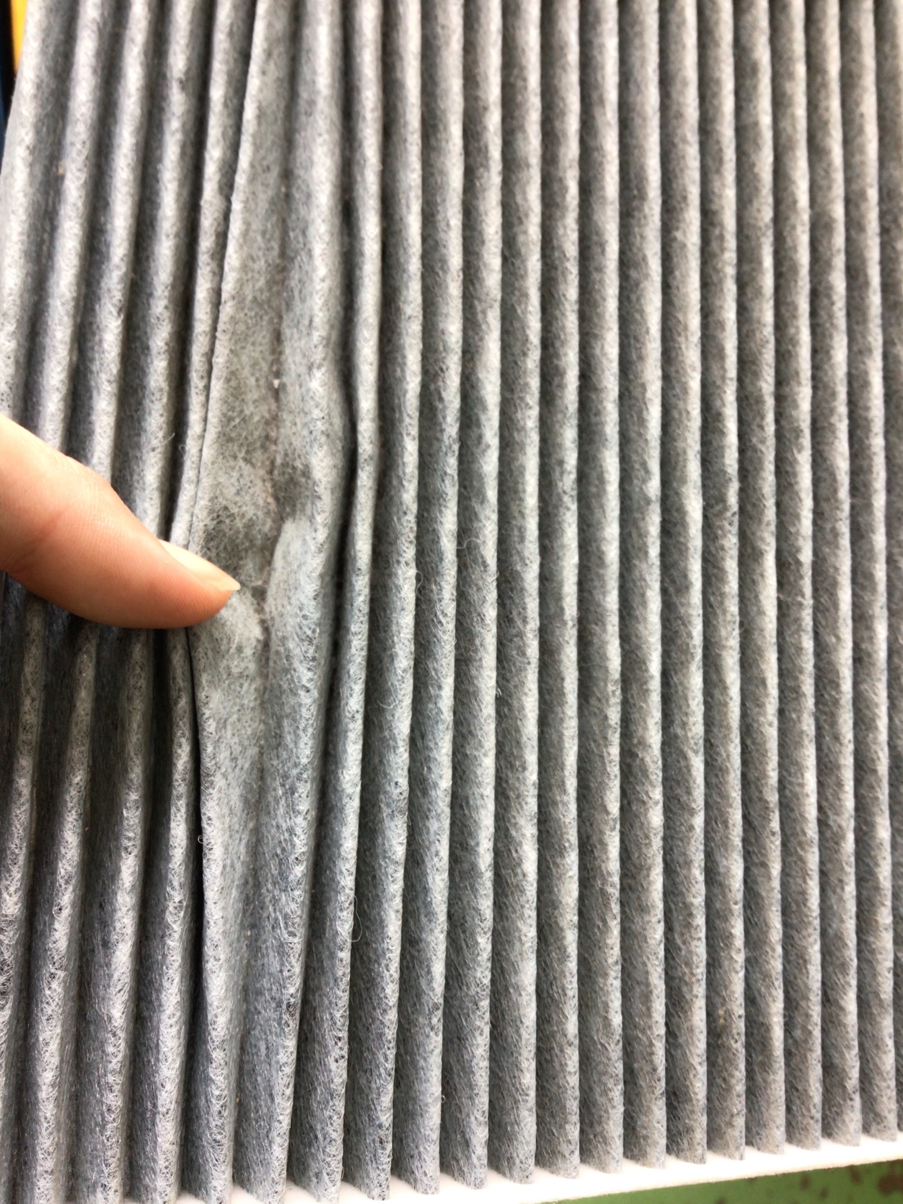 スタッフ撮影分