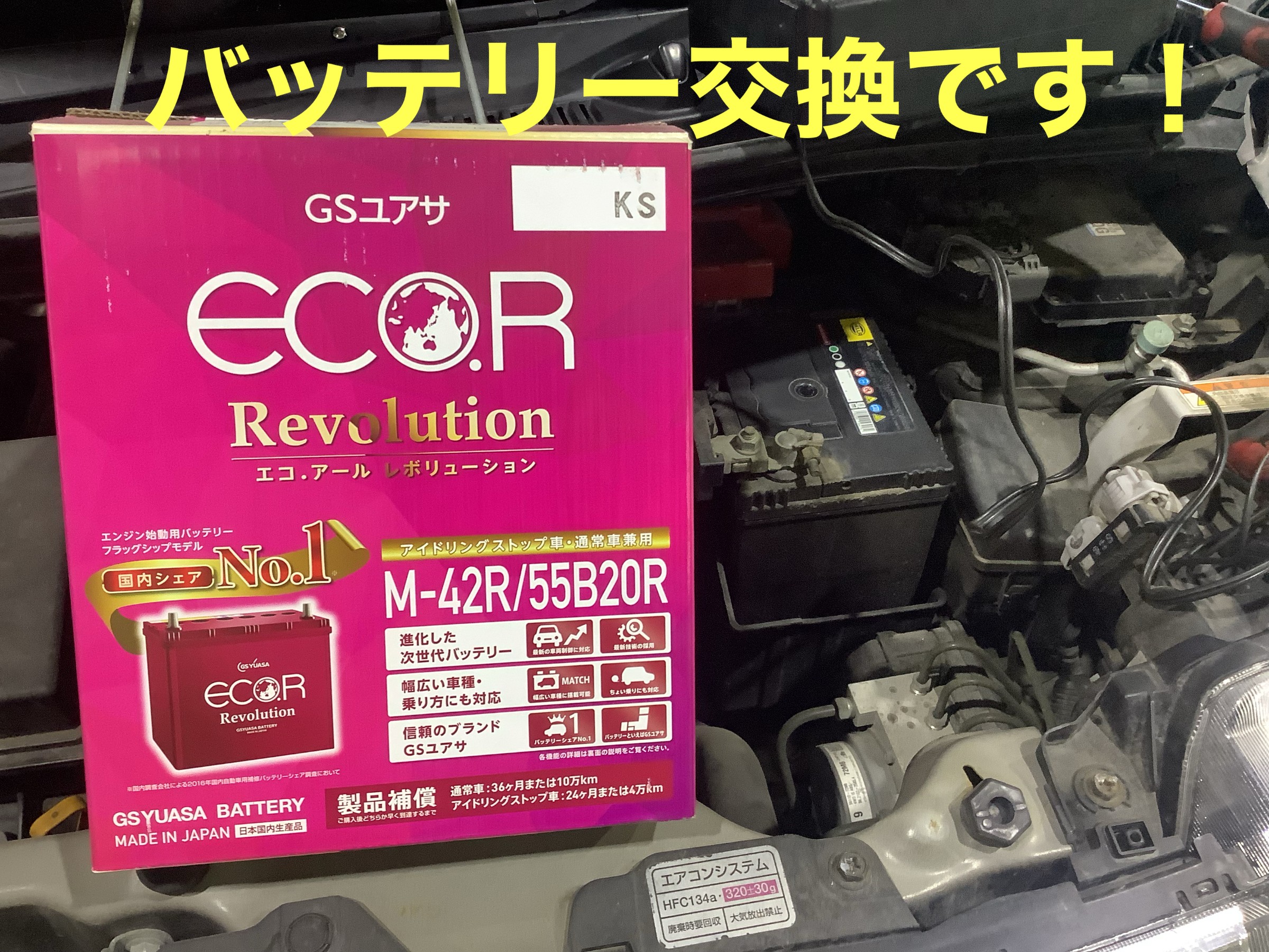自店撮影です