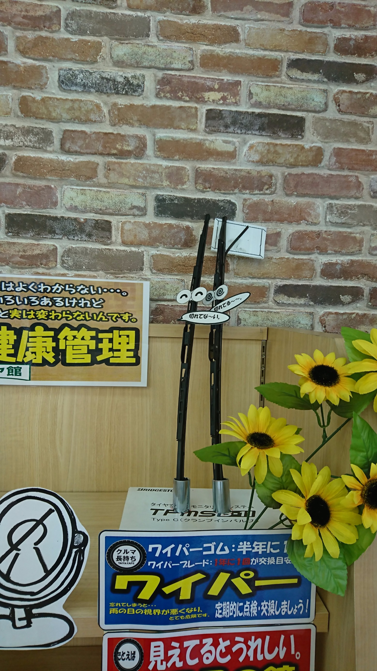 スタッフが撮影しました