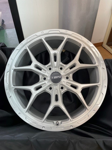 TWS　306S　GEO-X