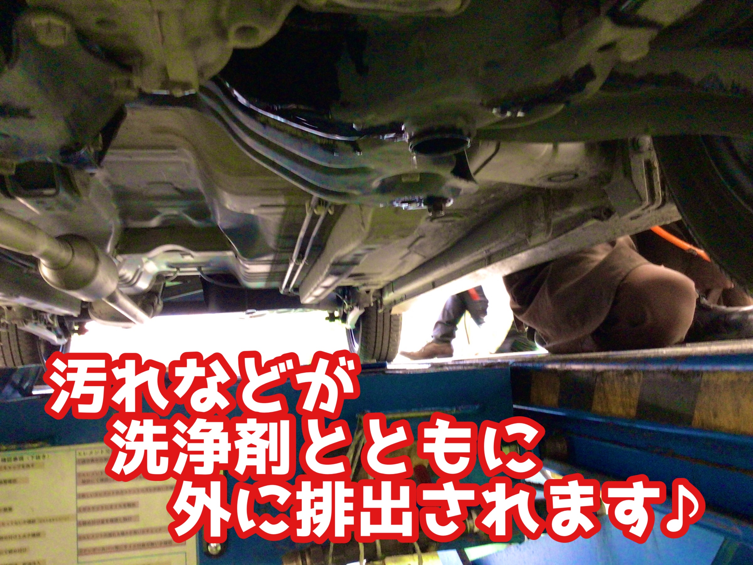 スタッフ撮影分