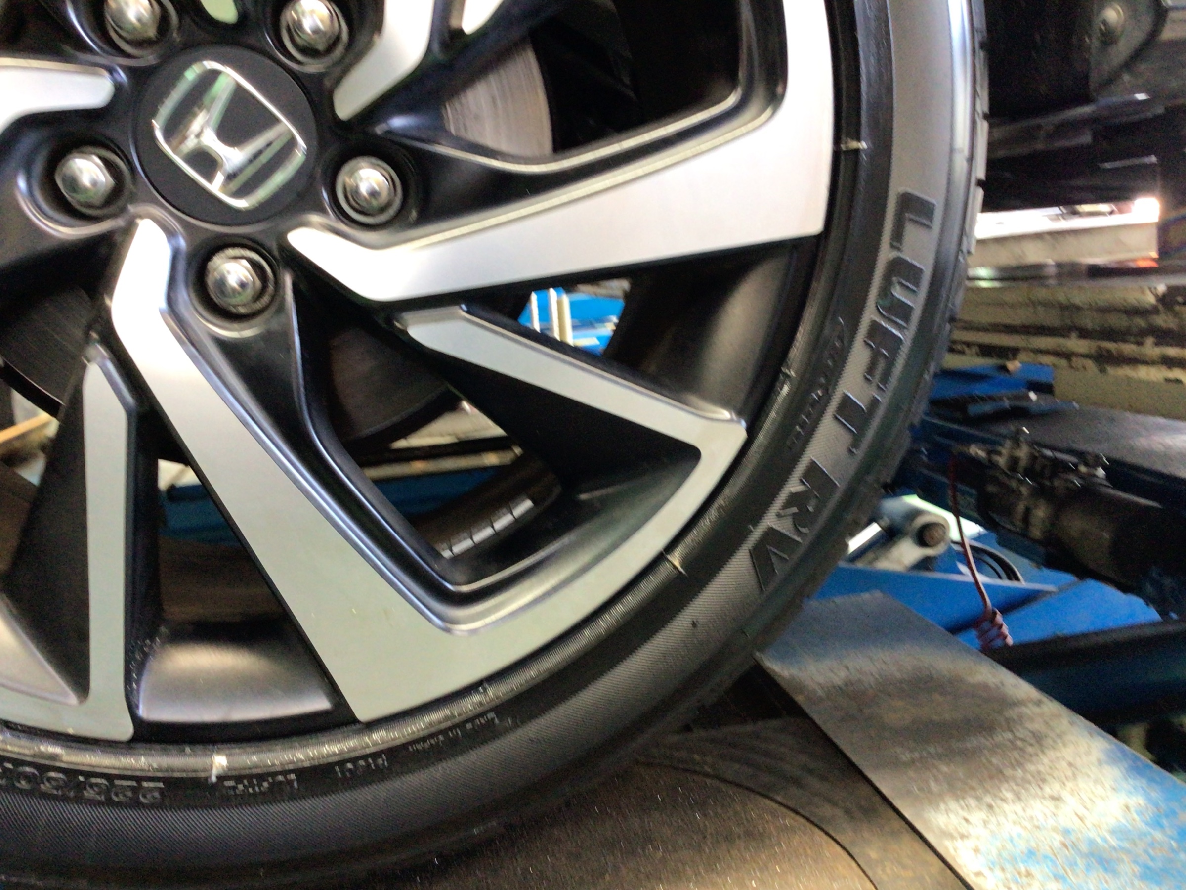 スタッフ撮影分