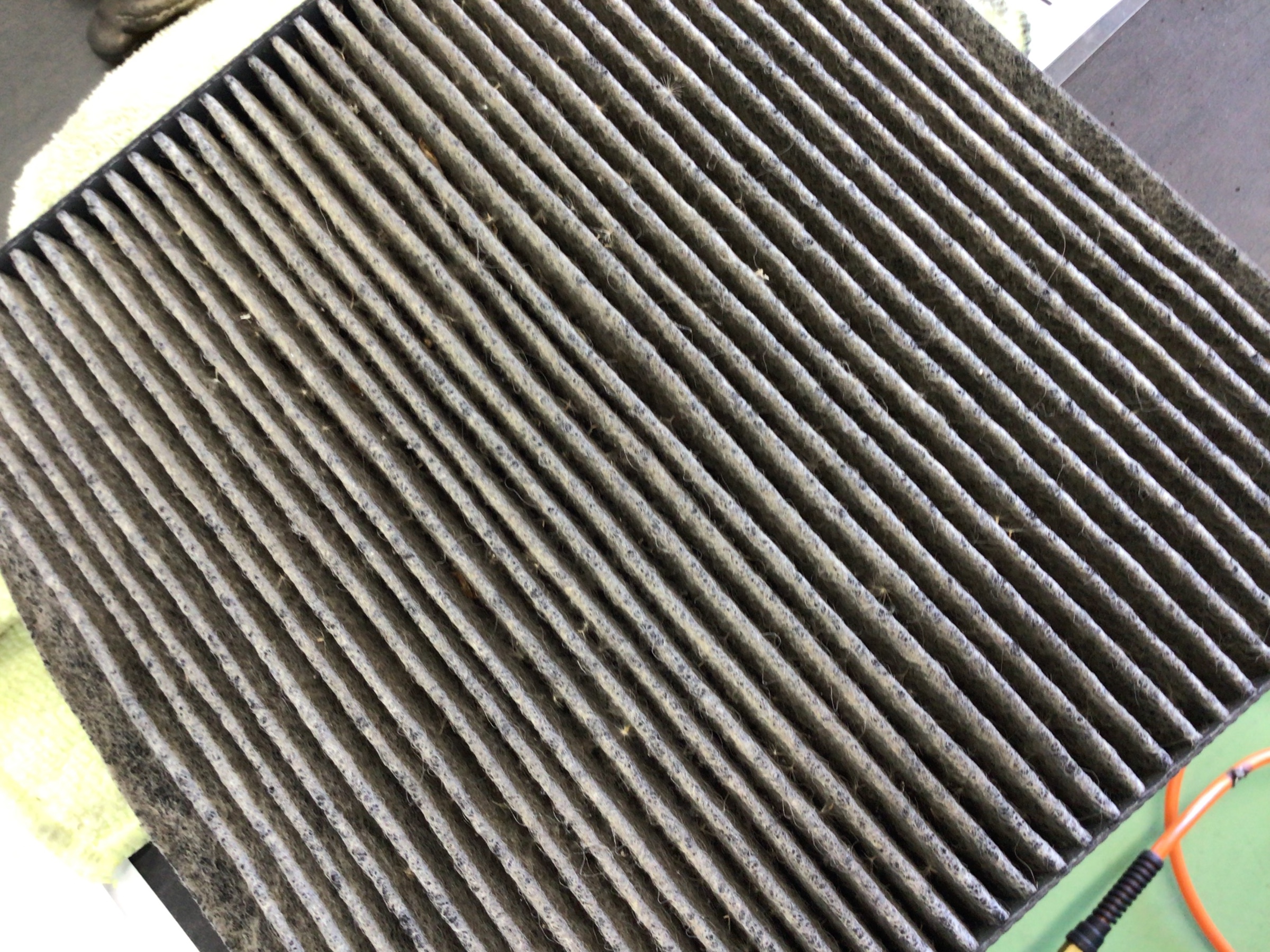 スタッフ撮影分