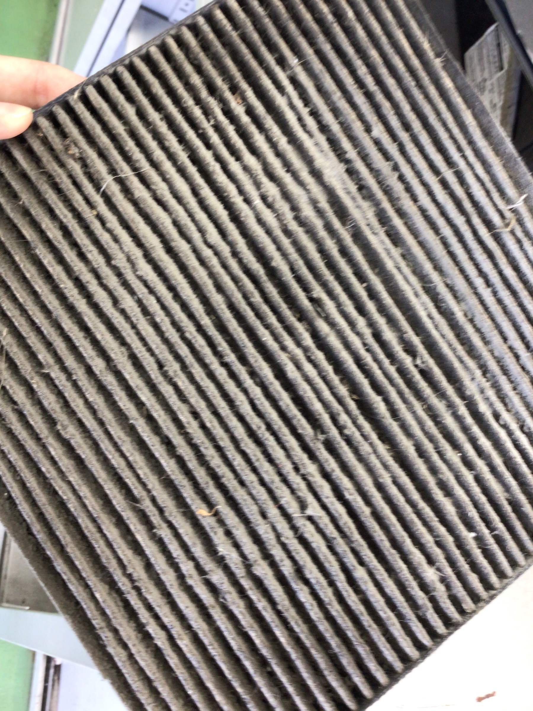 スタッフ撮影分