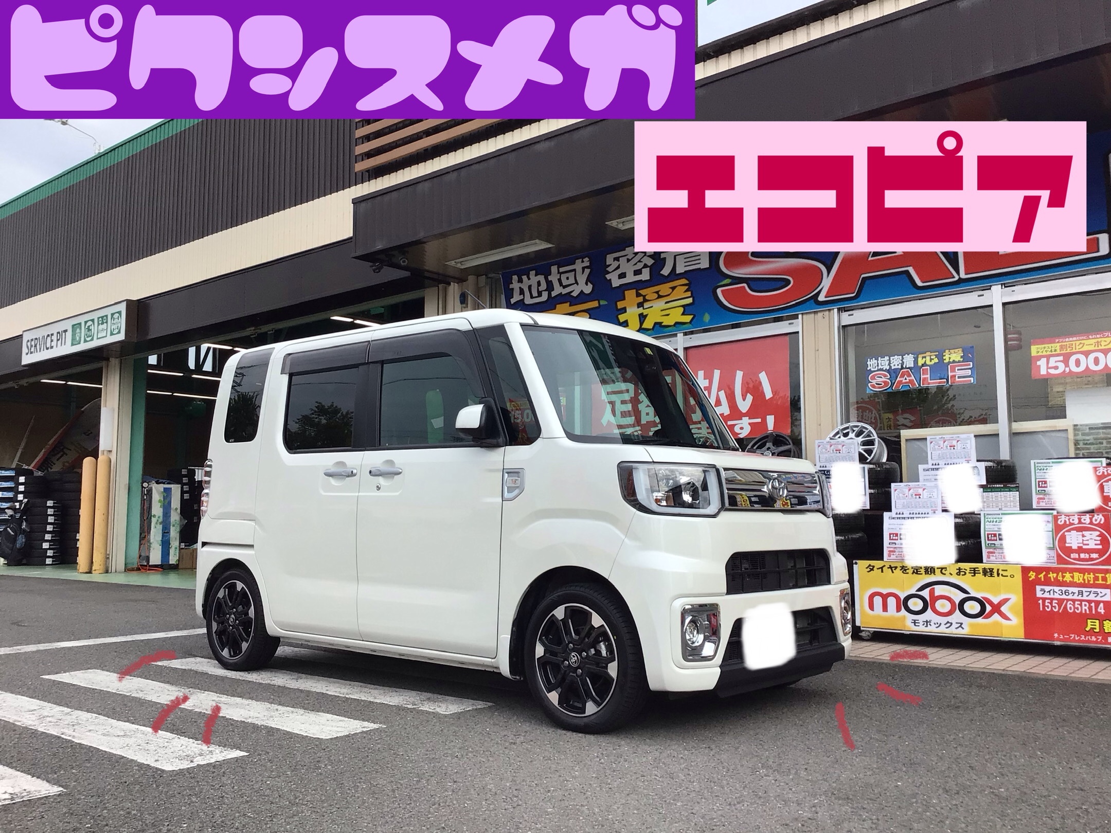 スタッフ撮影分