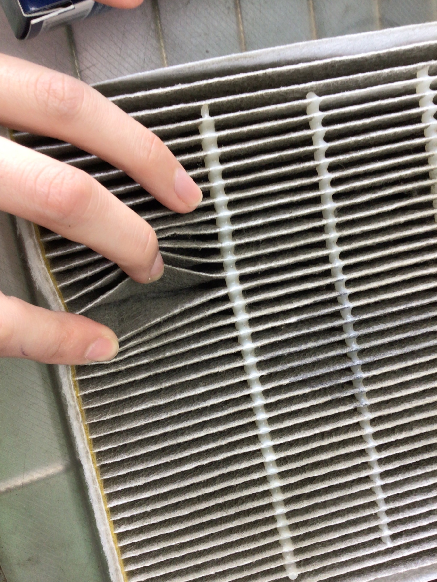 スタッフ撮影分