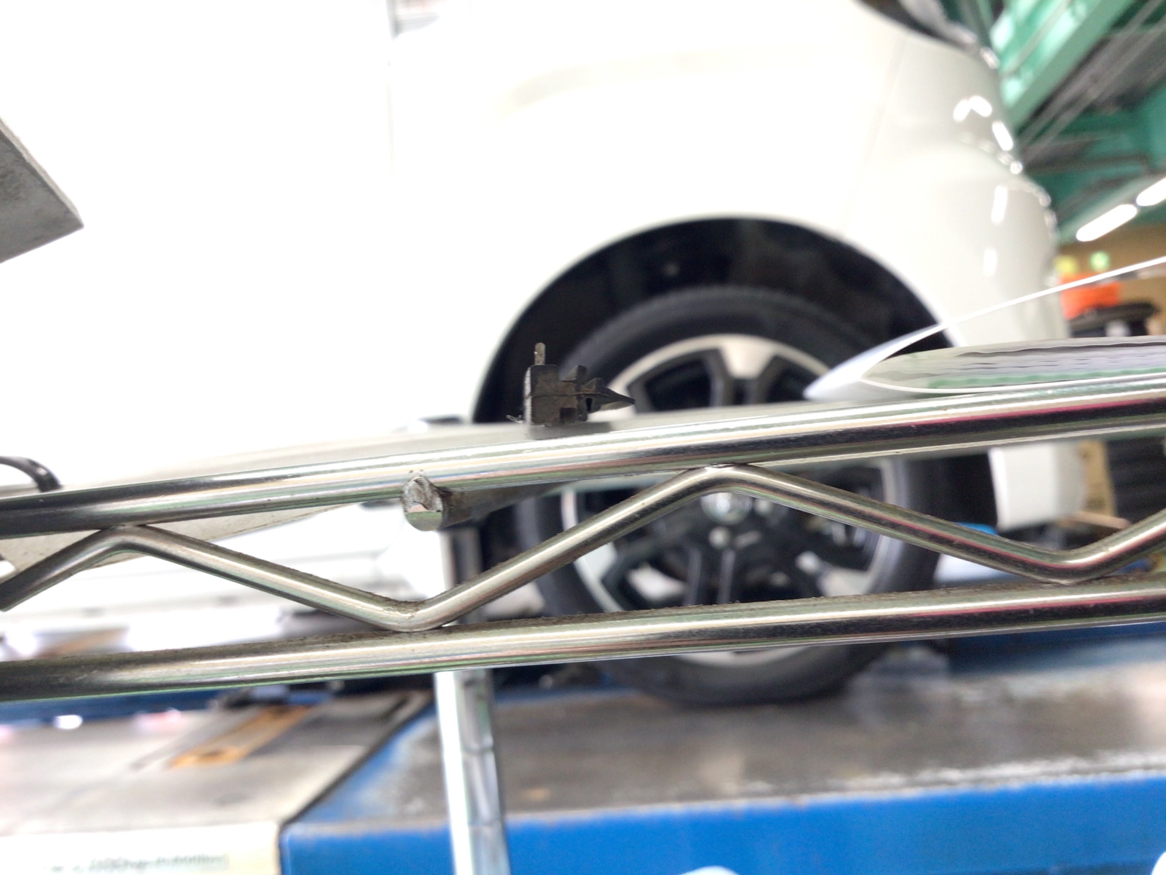 スタッフ撮影分