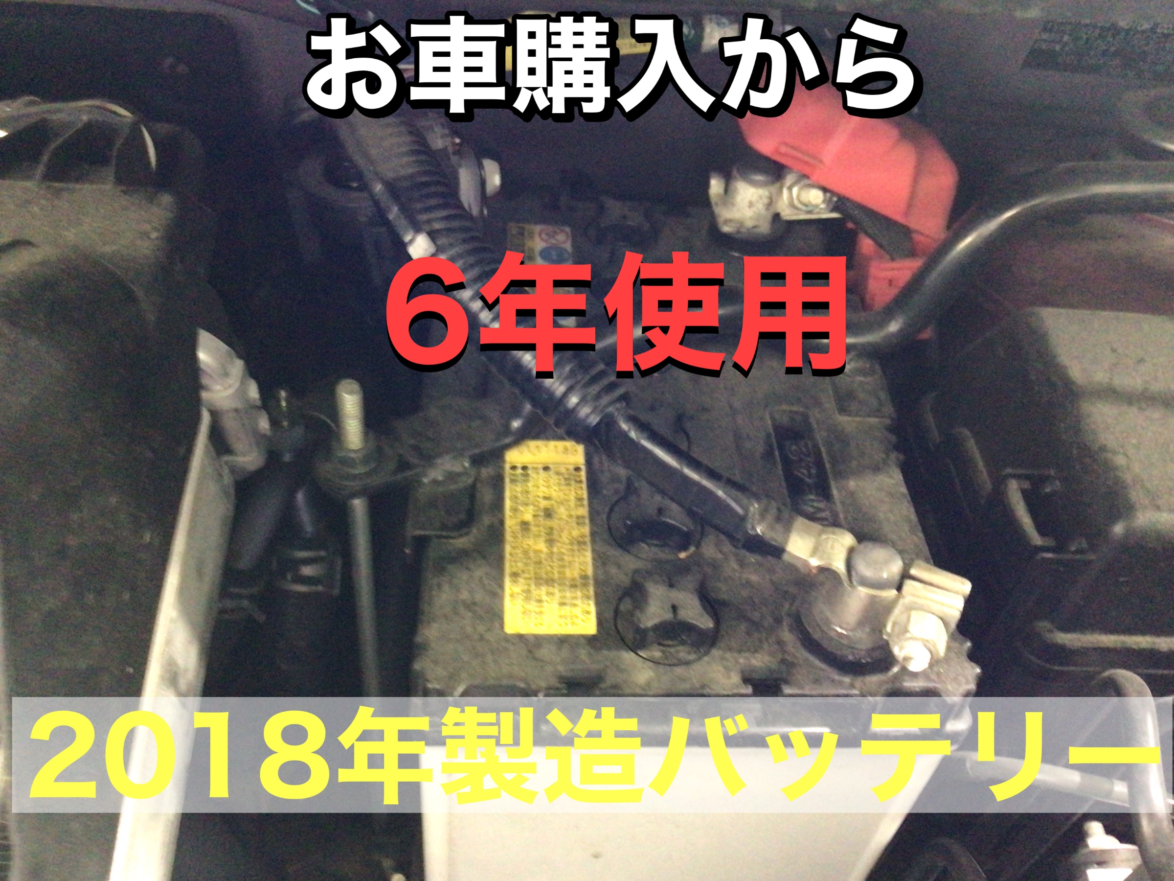 スタッフ撮影