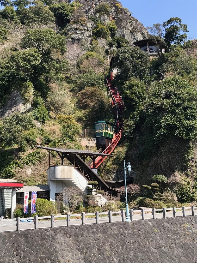 自分で撮影しました。