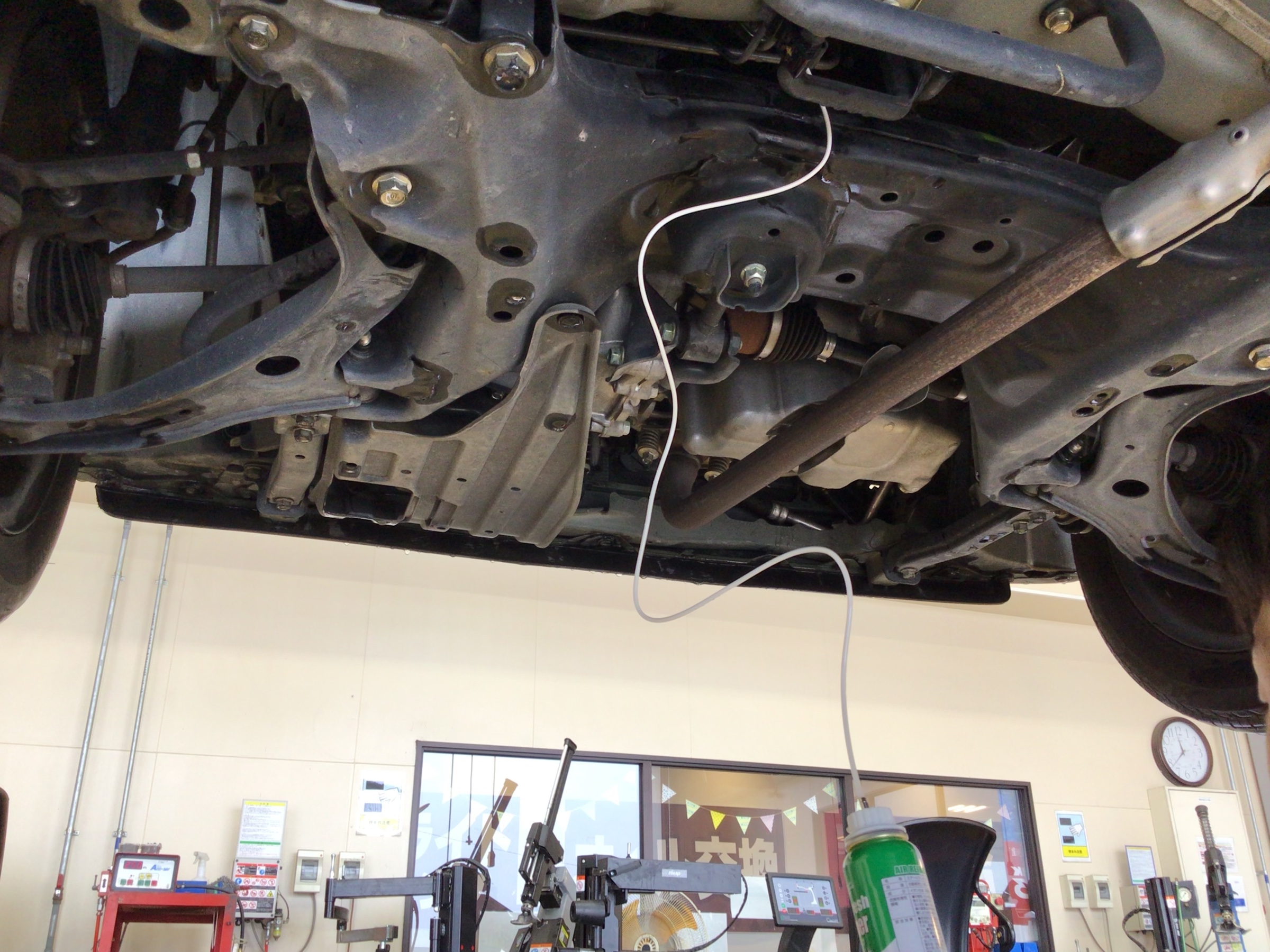 スタッフ撮影写真