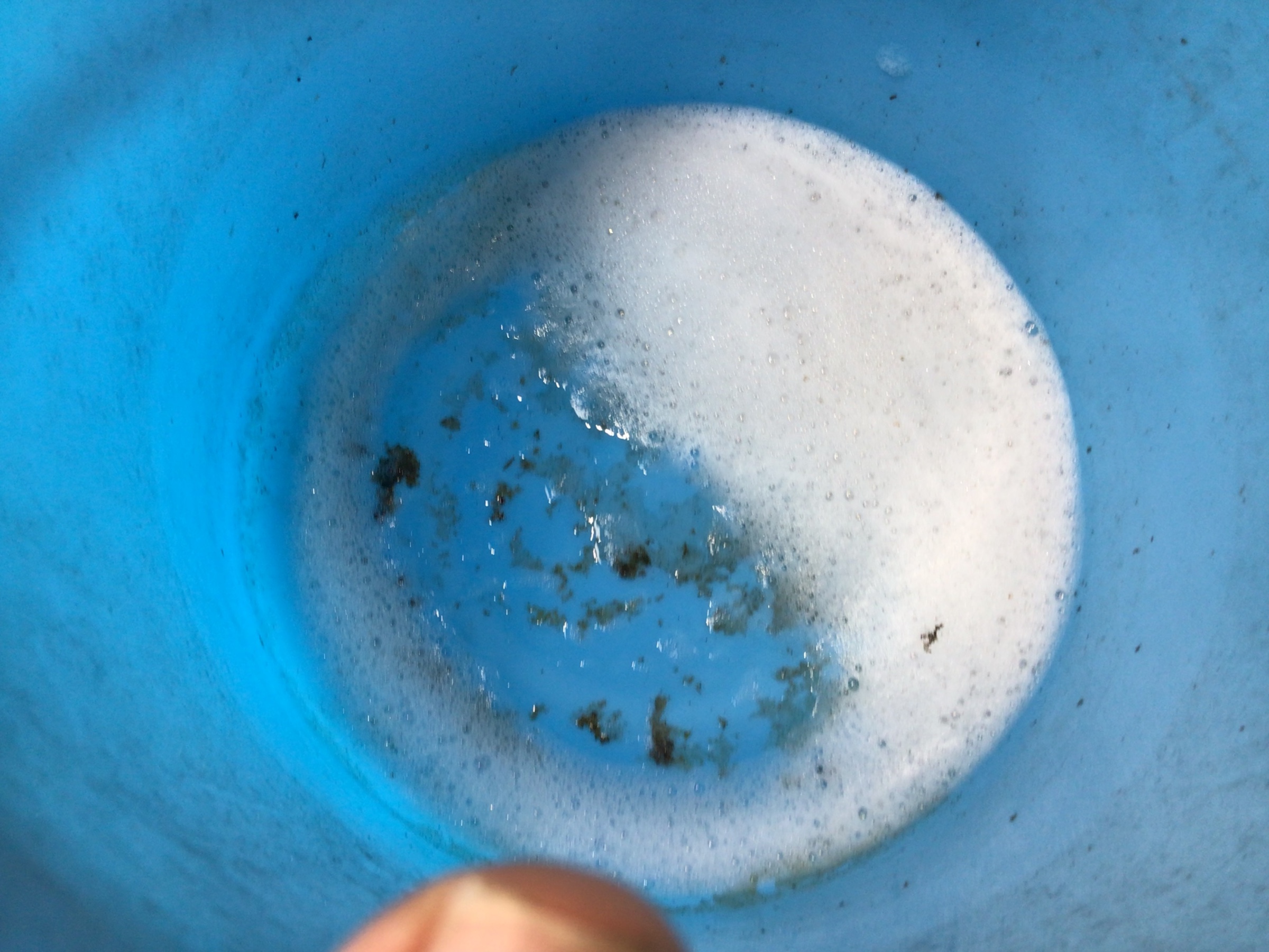 スタッフ撮影写真