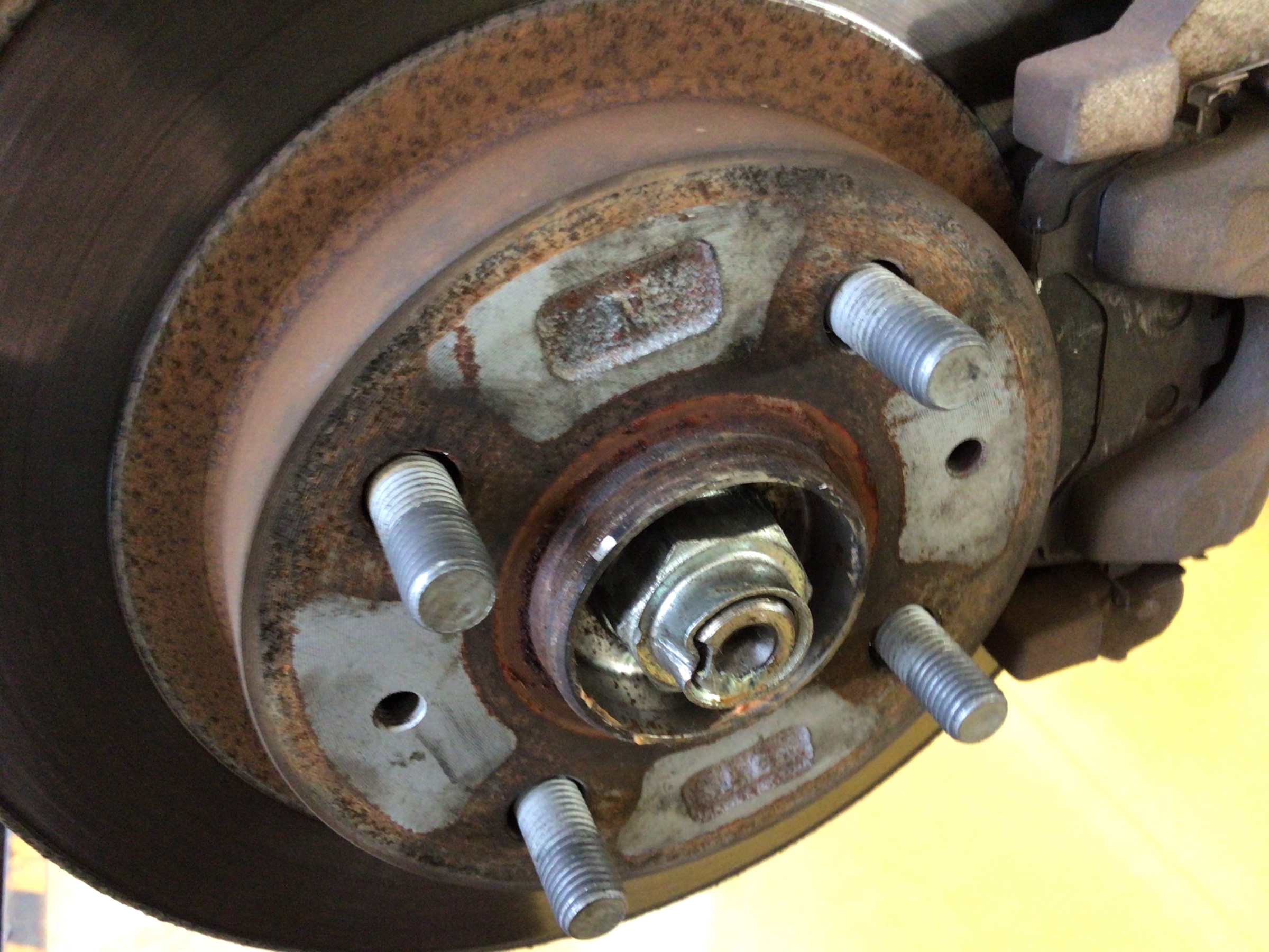 スタッフ撮影写真