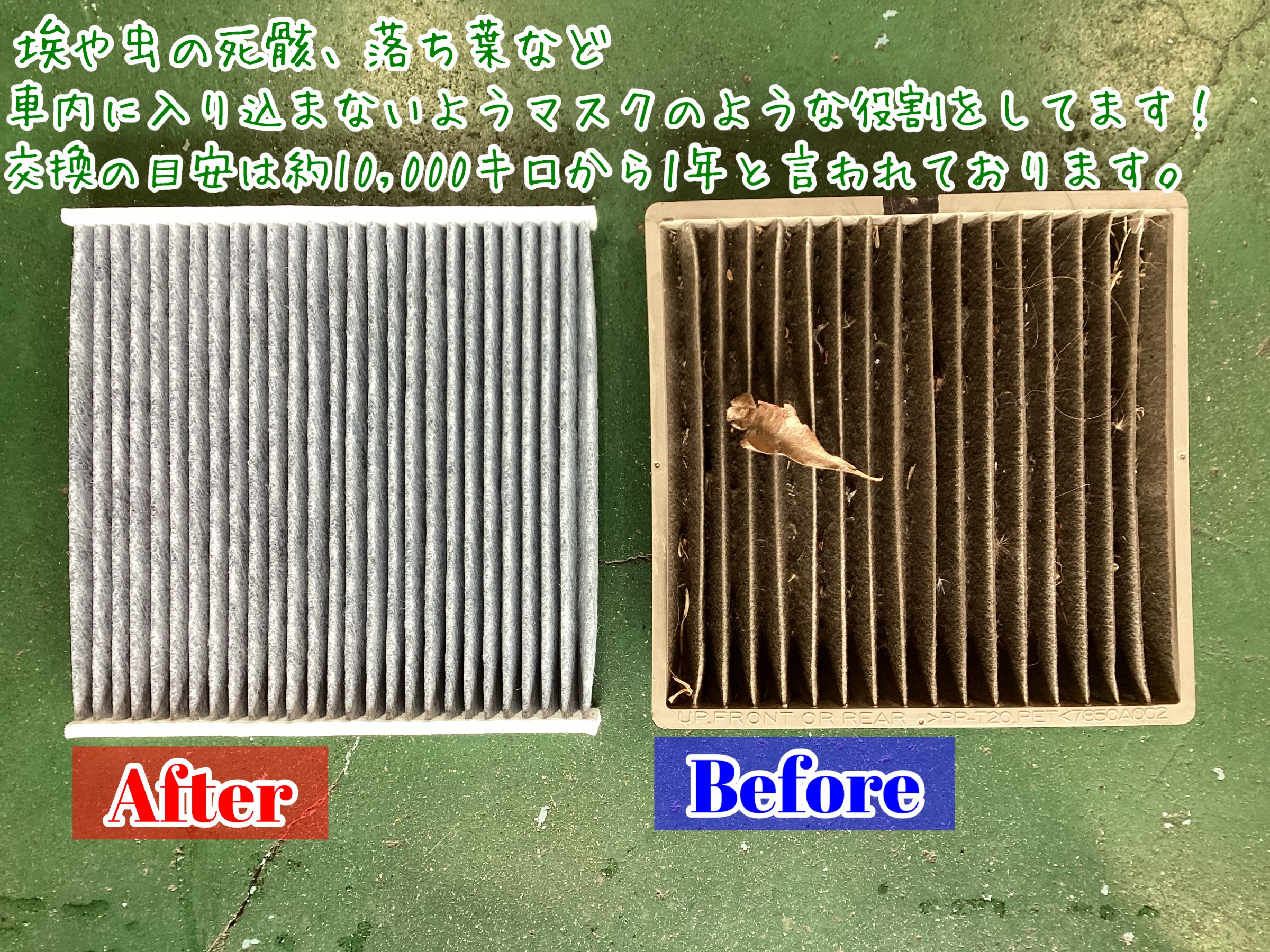 スタッフが撮影加工した画像