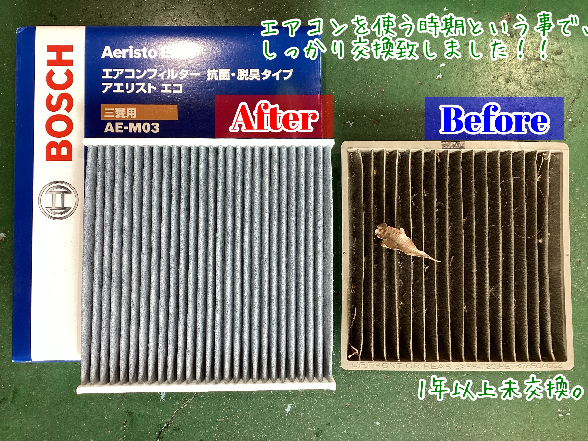 スタッフが撮影加工した画像